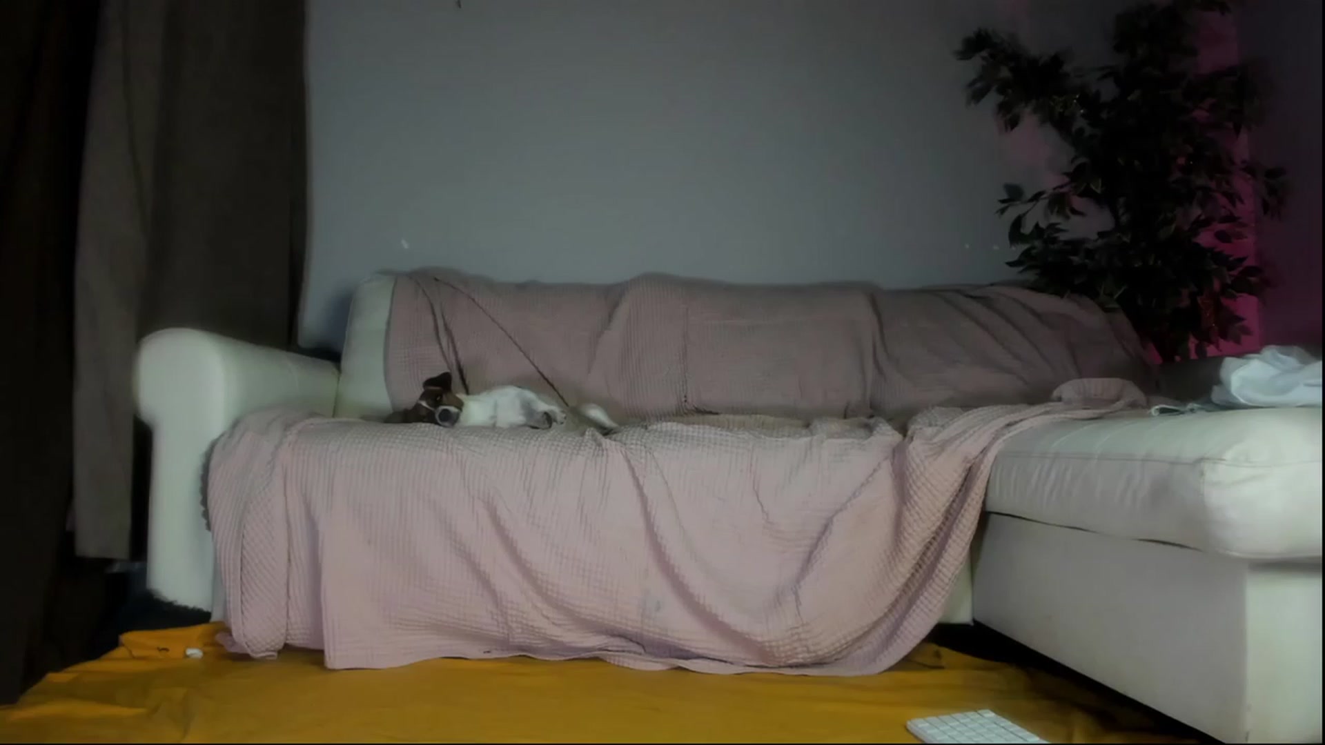 Gallery image thumbnail from Littlewetgirl's myfreecams stream on, 09/11/2023, 15:32 image 20 of 20