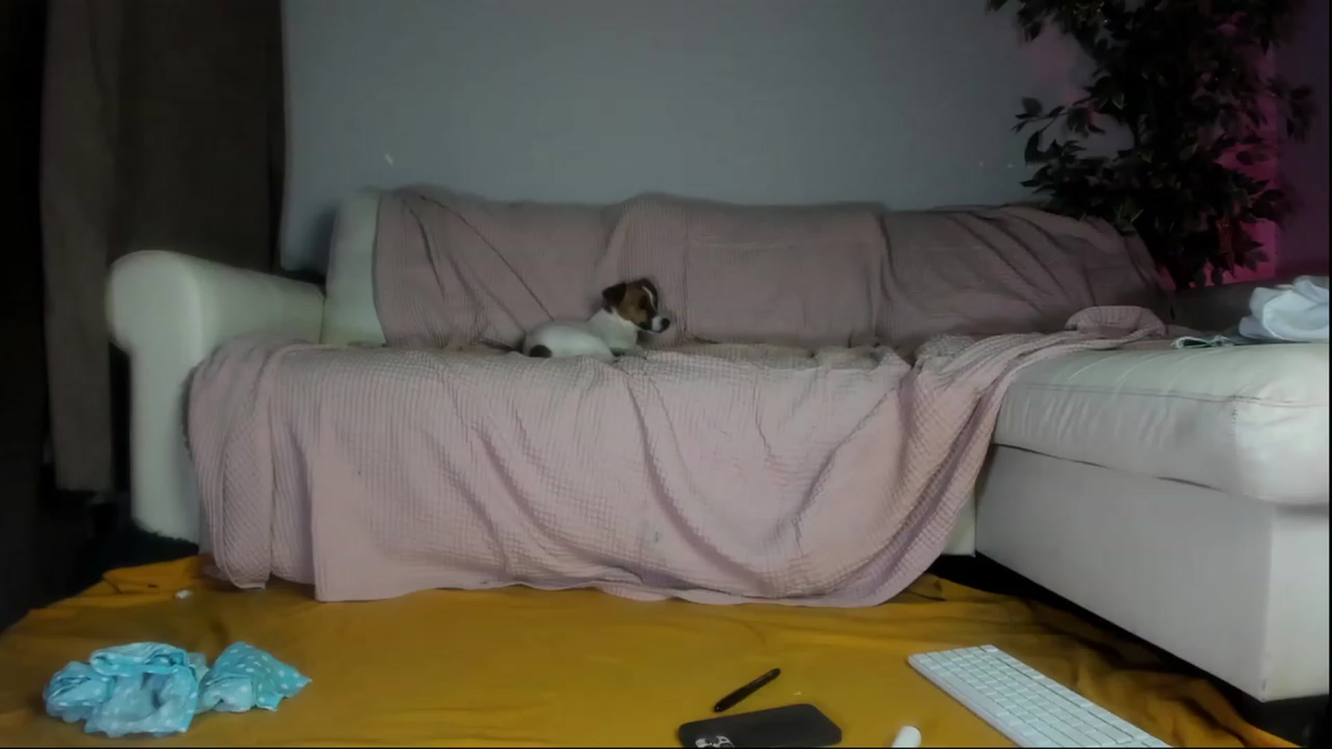 Gallery image thumbnail from Littlewetgirl's myfreecams stream on, 09/11/2023, 15:32 image 12 of 20