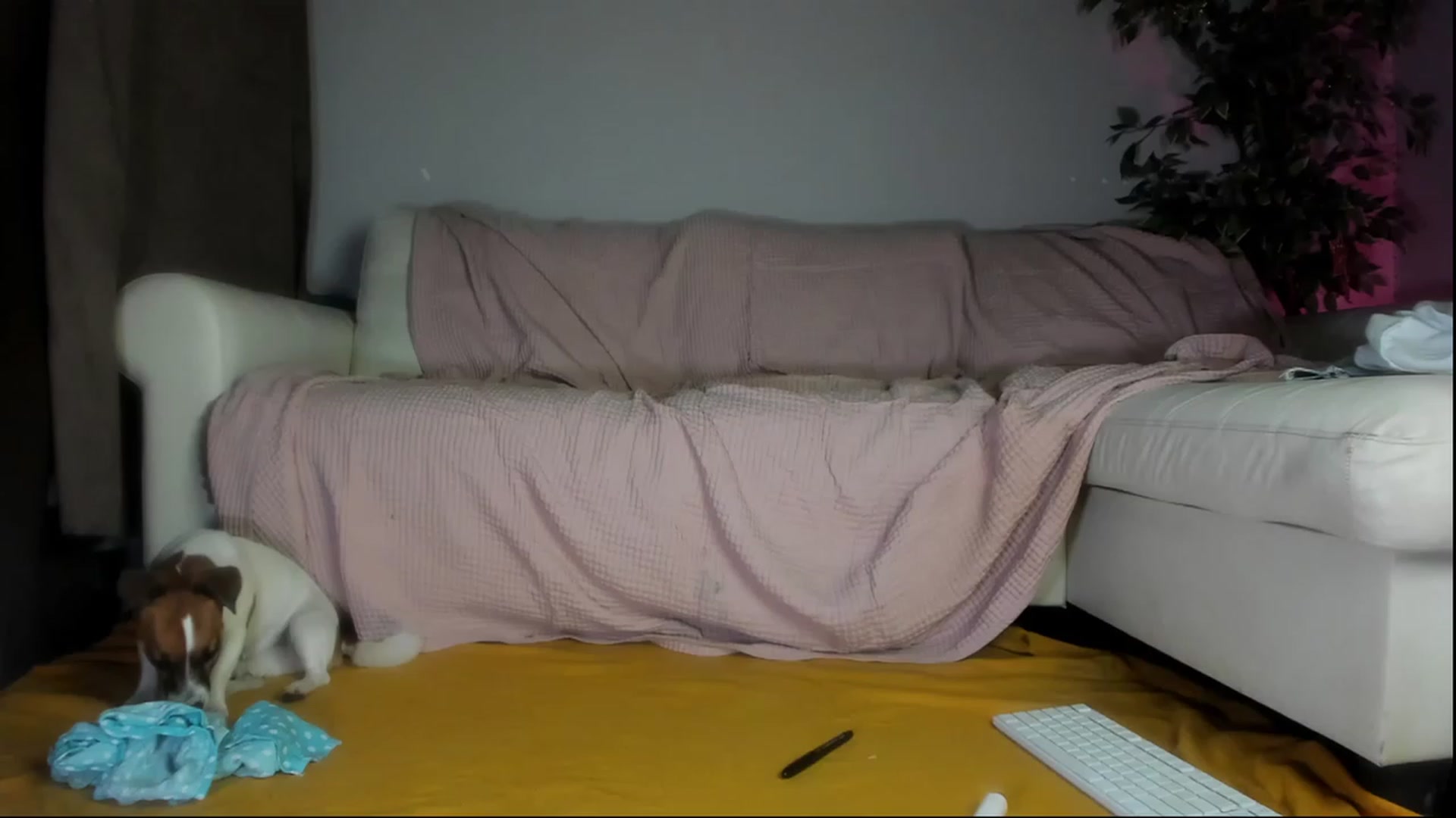 Gallery image thumbnail from Littlewetgirl's myfreecams stream on, 09/11/2023, 15:32 image 14 of 20