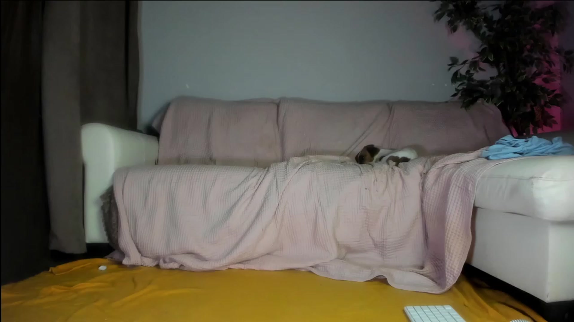 Gallery image thumbnail from Littlewetgirl's myfreecams stream on, 09/14/2023, 11:44 image 4 of 20