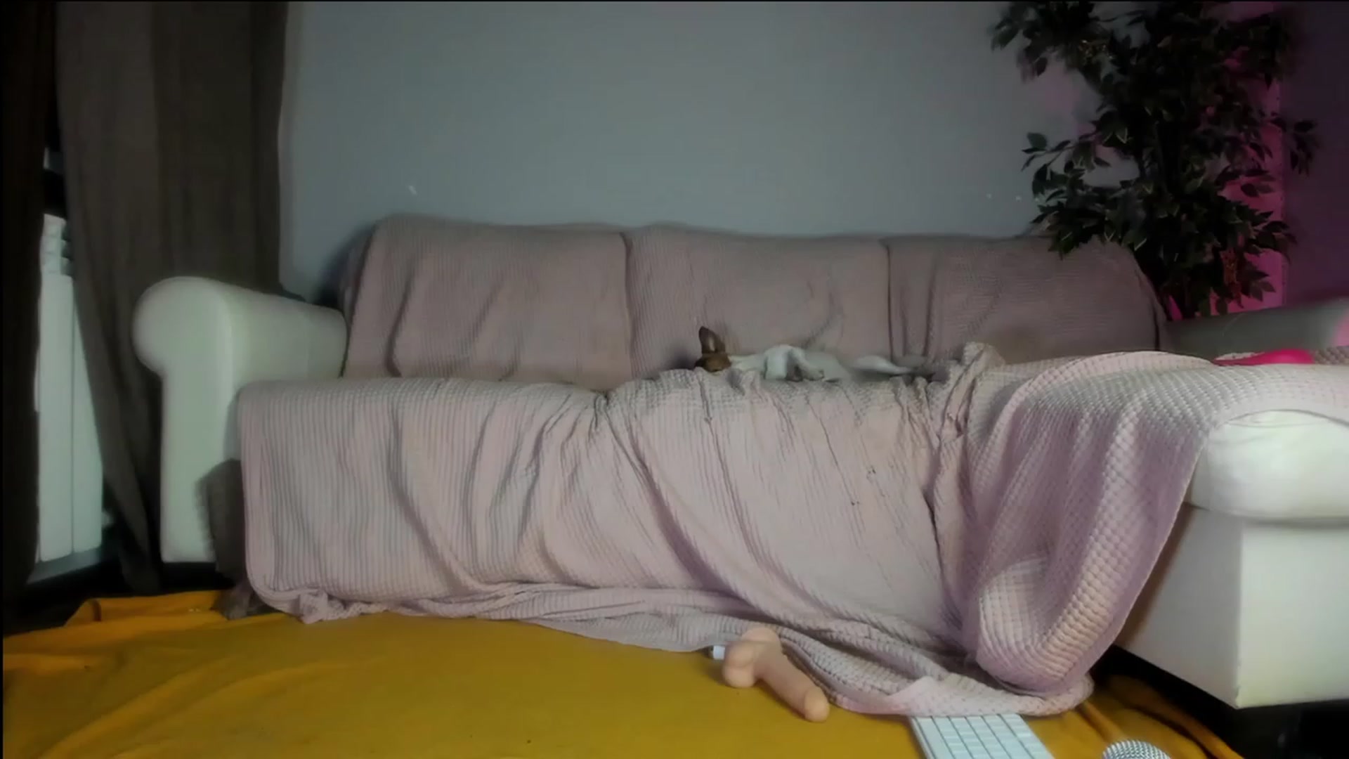Gallery image thumbnail from Littlewetgirl's myfreecams stream on, 09/15/2023, 15:00 image 3 of 20