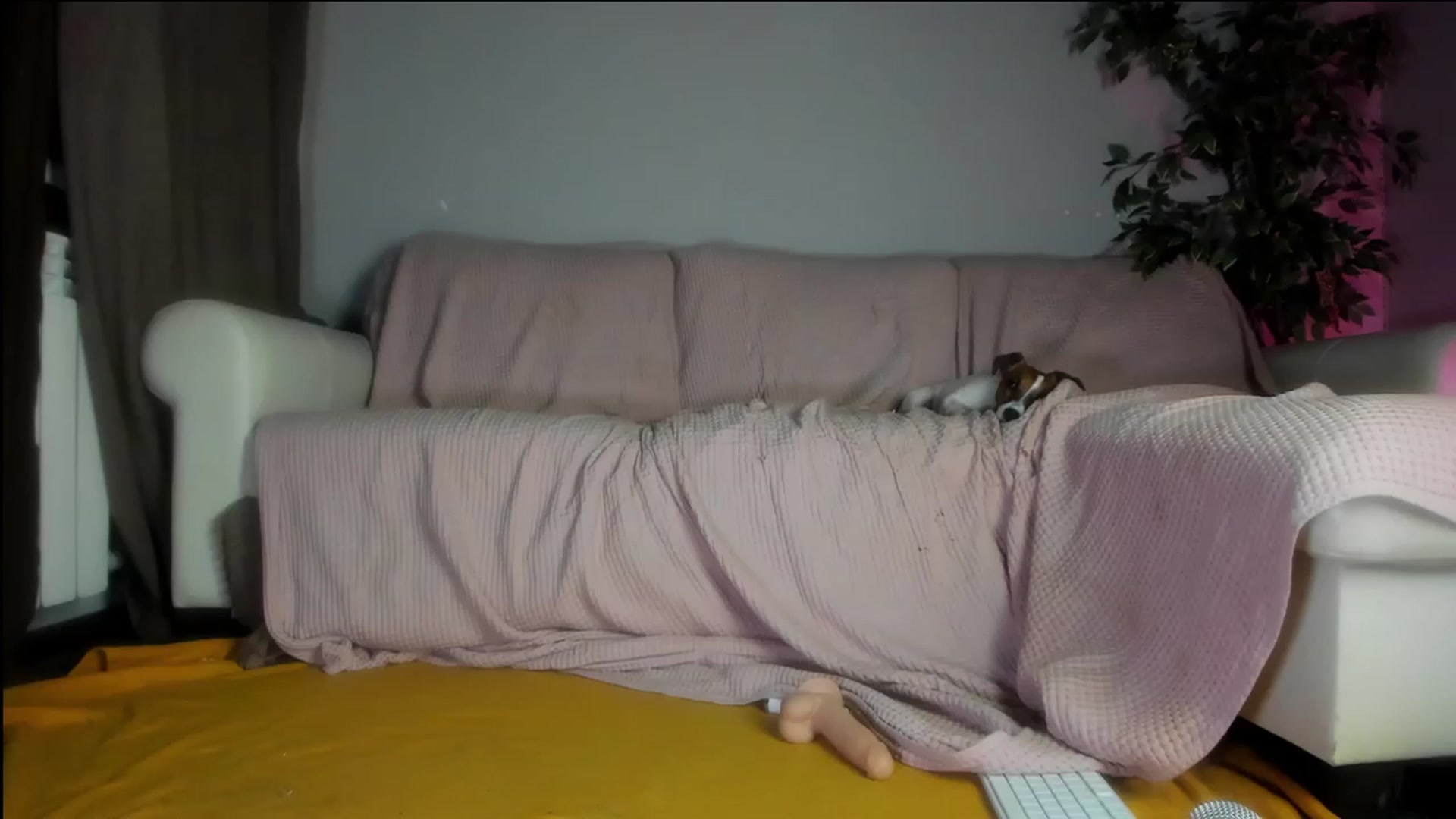 Gallery image thumbnail from Littlewetgirl's myfreecams stream on, 09/15/2023, 15:00 image 6 of 20