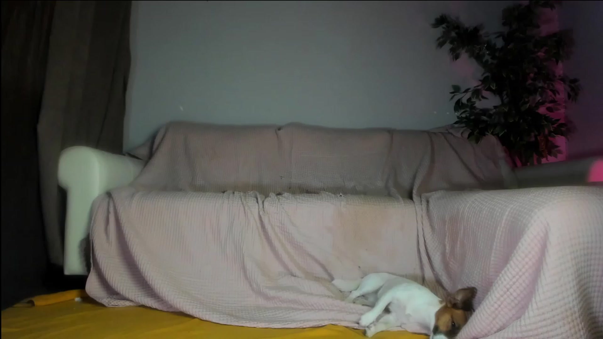 Gallery image thumbnail from Littlewetgirl's myfreecams stream on, 09/18/2023, 08:43 image 13 of 20