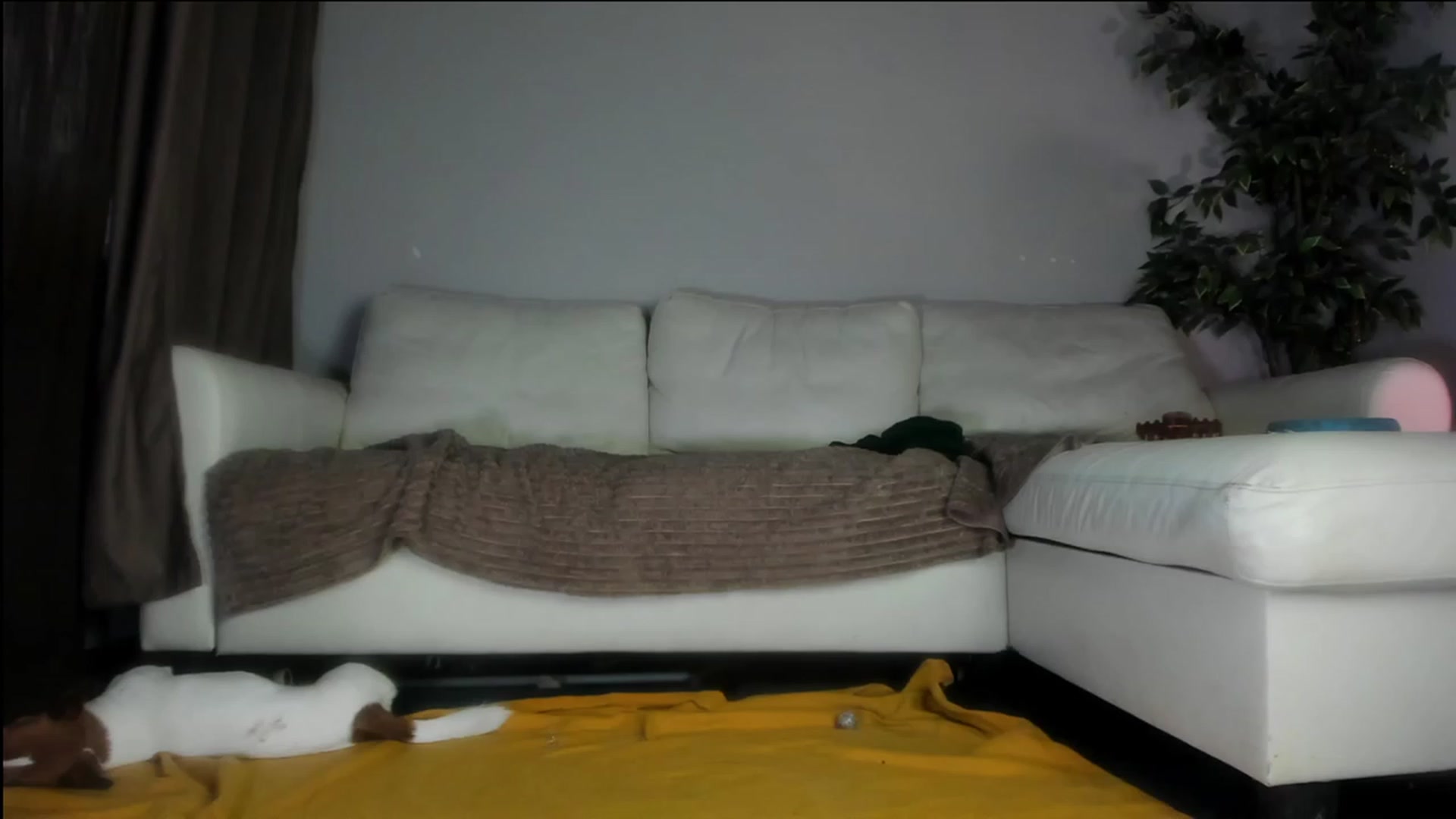 Gallery image thumbnail from Littlewetgirl's myfreecams stream on, 10/07/2023, 10:17 image 16 of 20