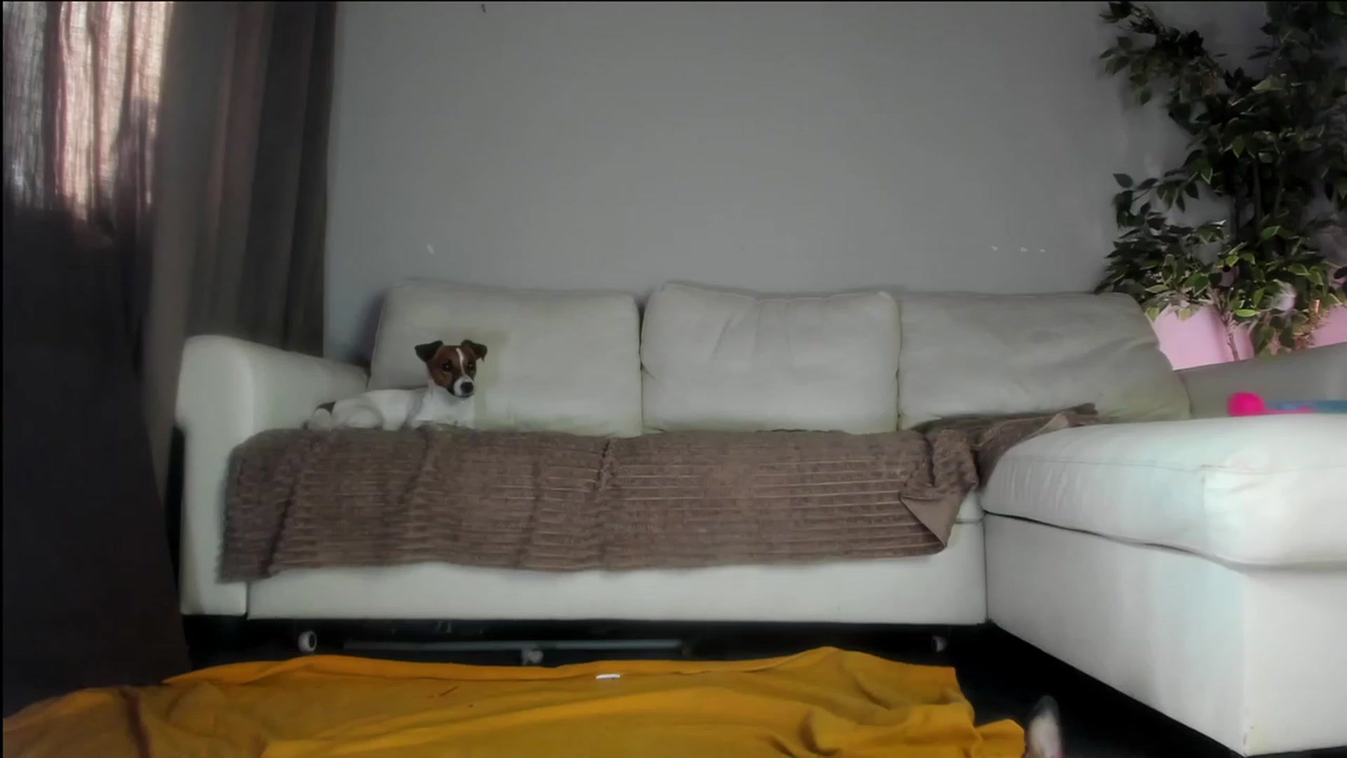 Gallery image thumbnail from Littlewetgirl's myfreecams stream on, 10/09/2023, 07:27 image 5 of 20