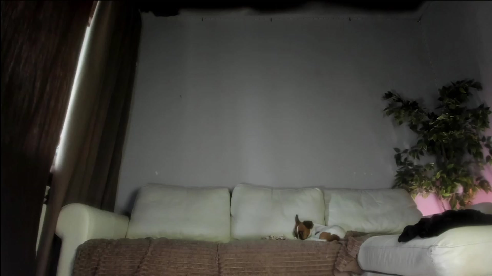 Gallery image thumbnail from Littlewetgirl's myfreecams stream on, 10/09/2023, 07:27 image 19 of 20