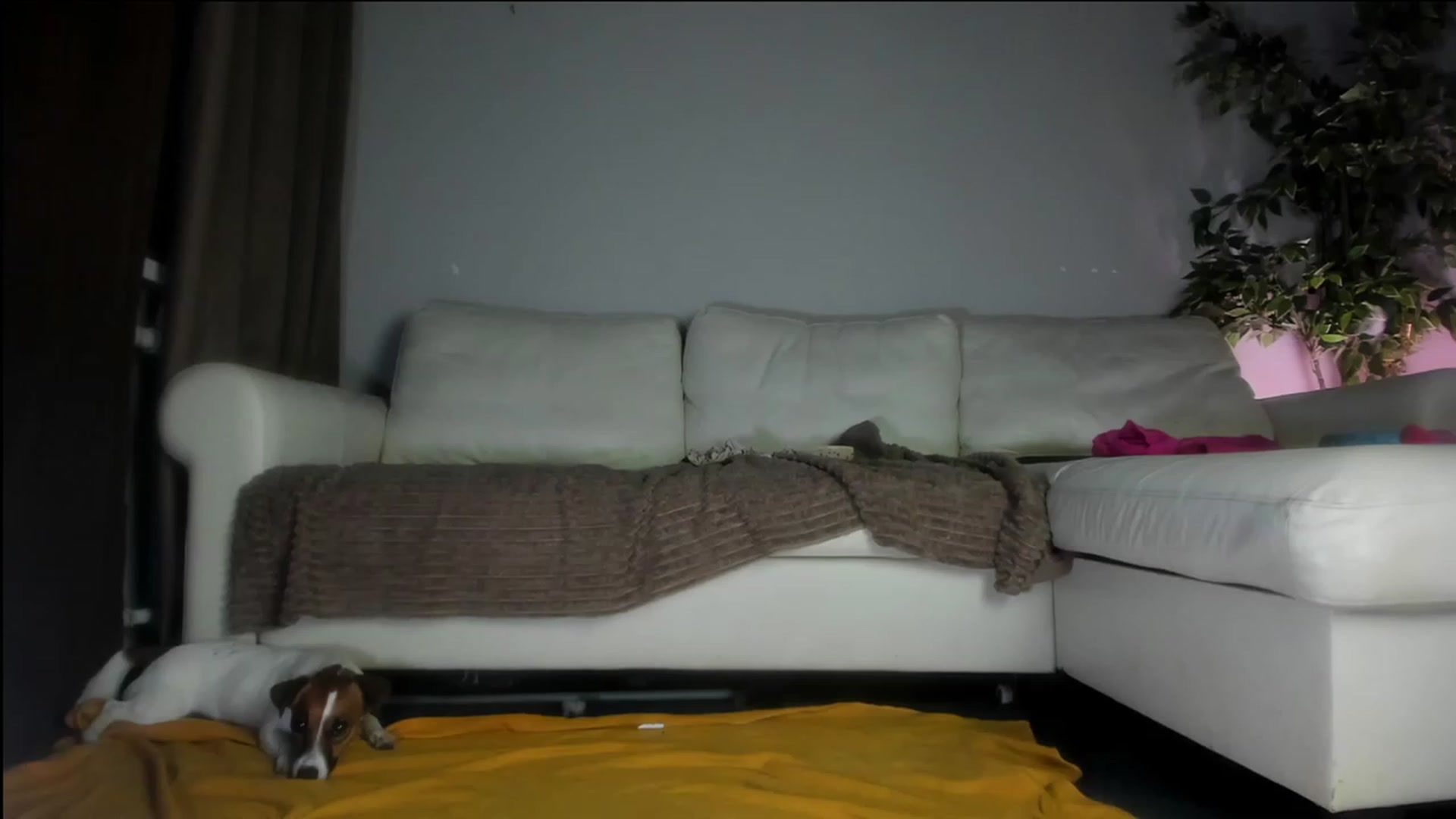 Gallery image thumbnail from Littlewetgirl's myfreecams stream on, 10/10/2023, 12:58 image 4 of 20