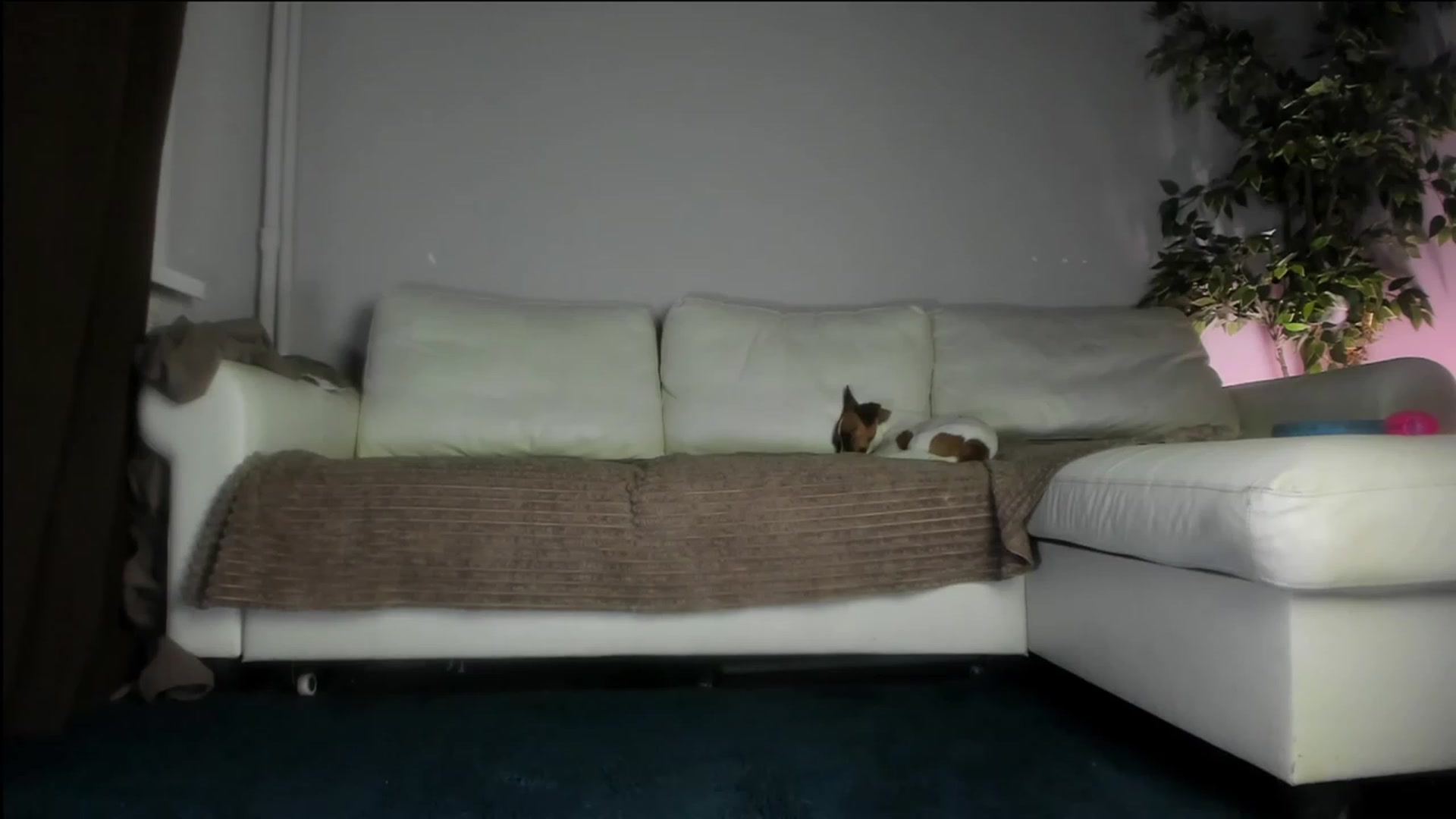 Gallery image thumbnail from Littlewetgirl's myfreecams stream on, 10/16/2023, 13:39 image 17 of 20