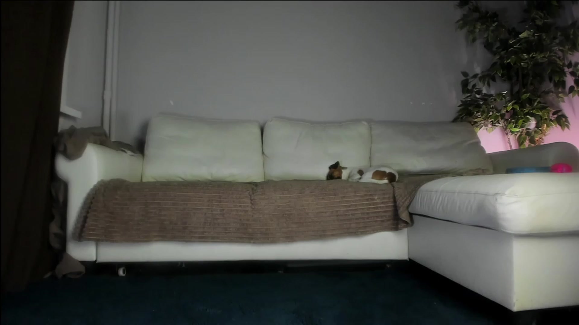 Gallery image thumbnail from Littlewetgirl's myfreecams stream on, 10/16/2023, 13:39 image 20 of 20