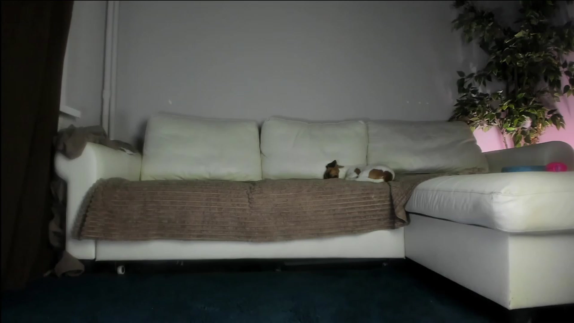 Gallery image thumbnail from Littlewetgirl's myfreecams stream on, 10/16/2023, 13:39 image 19 of 20
