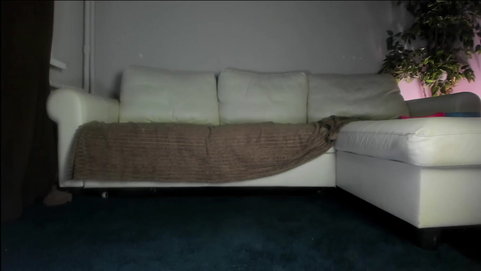 Gallery image thumbnail from Littlewetgirl's myfreecams stream on, 10/20/2023, 11:42 image 17 of 20