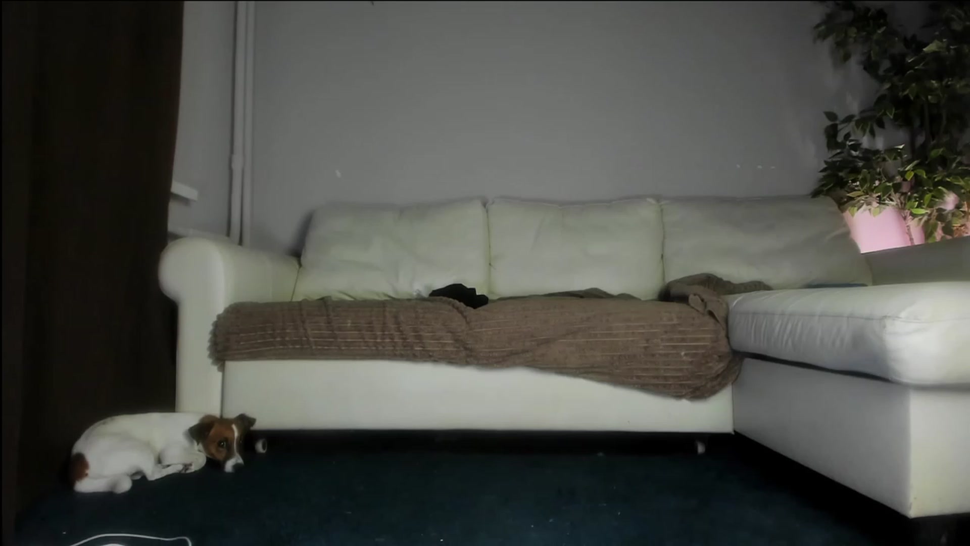 Gallery image thumbnail from Littlewetgirl's myfreecams stream on, 10/24/2023, 13:03 image 8 of 20