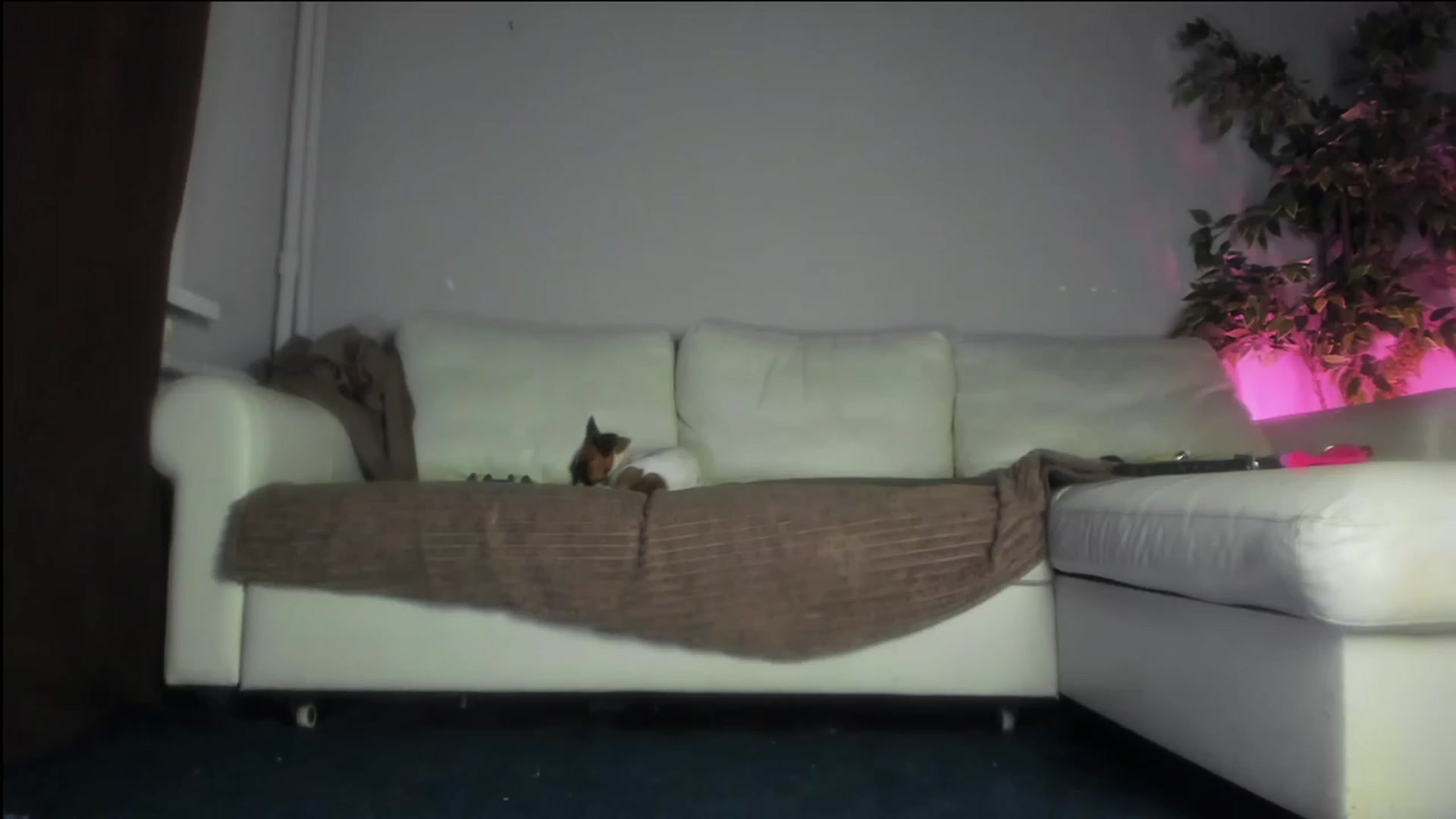 Gallery image thumbnail from Littlewetgirl's myfreecams stream on, 11/14/2023, 16:26 image 4 of 20