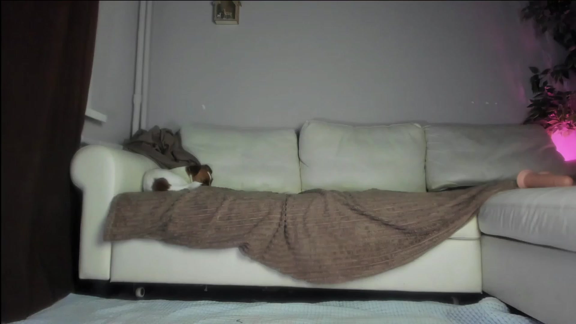 Gallery image thumbnail from Littlewetgirl's myfreecams stream on, 11/19/2023, 15:35 image 9 of 20