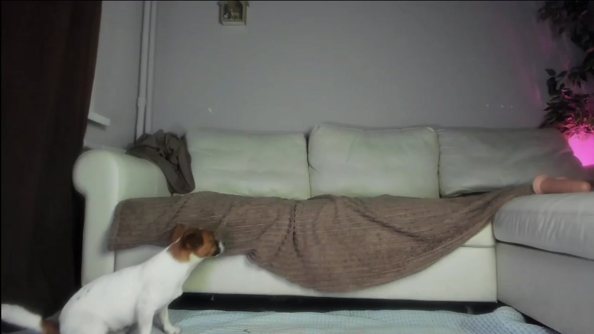 Gallery image thumbnail from Littlewetgirl's myfreecams stream on, 11/19/2023, 15:35 image 7 of 20