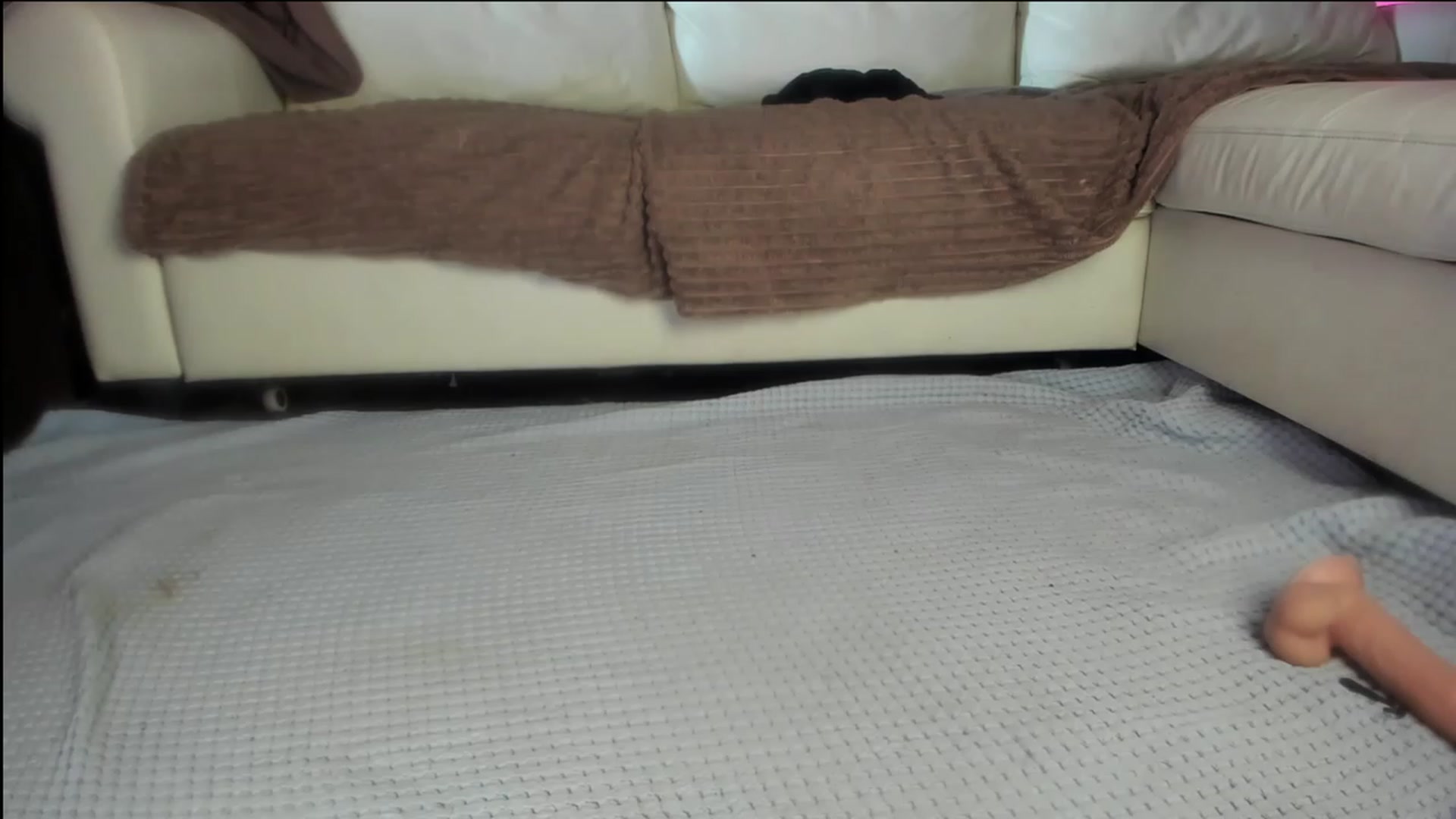 Gallery image thumbnail from Littlewetgirl's myfreecams stream on, 11/21/2023, 06:17 image 8 of 20