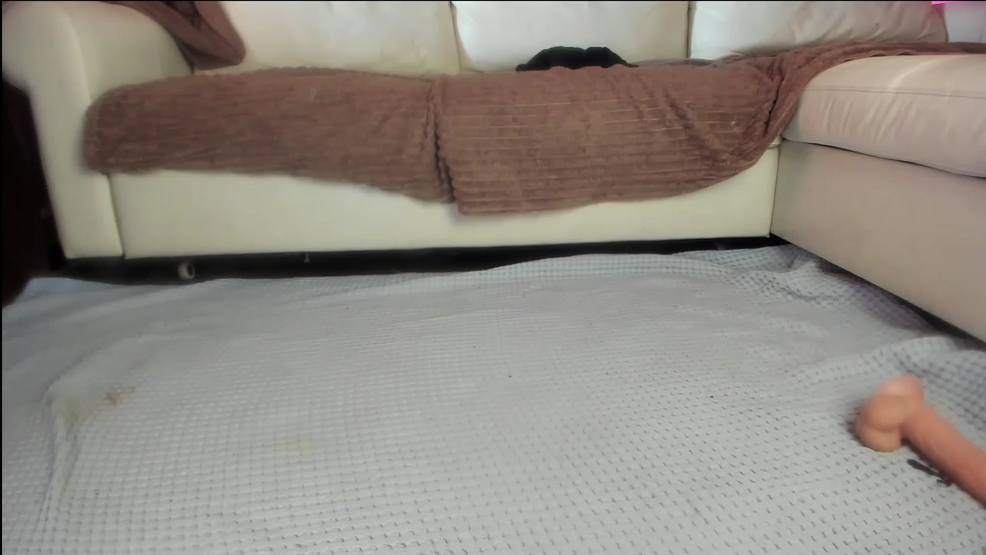 Gallery image thumbnail from Littlewetgirl's myfreecams stream on, 11/21/2023, 06:17 image 7 of 20