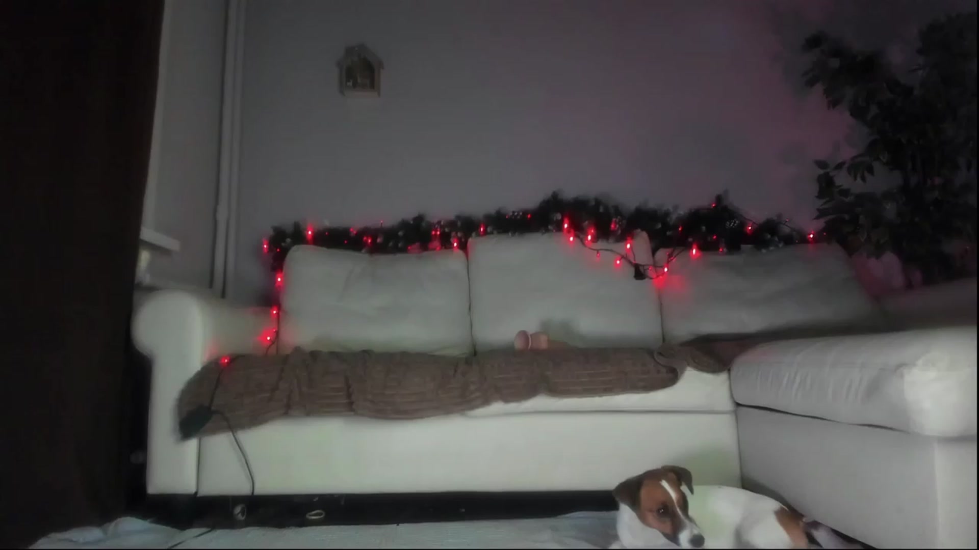Gallery image thumbnail from Littlewetgirl's myfreecams stream on, 12/23/2023, 15:17 image 20 of 20