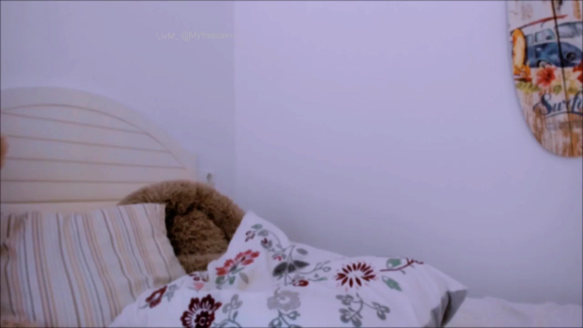 Gallery image thumbnail from LivM_'s myfreecams stream on, 09/07/2025, 08:56 image 14 of 20