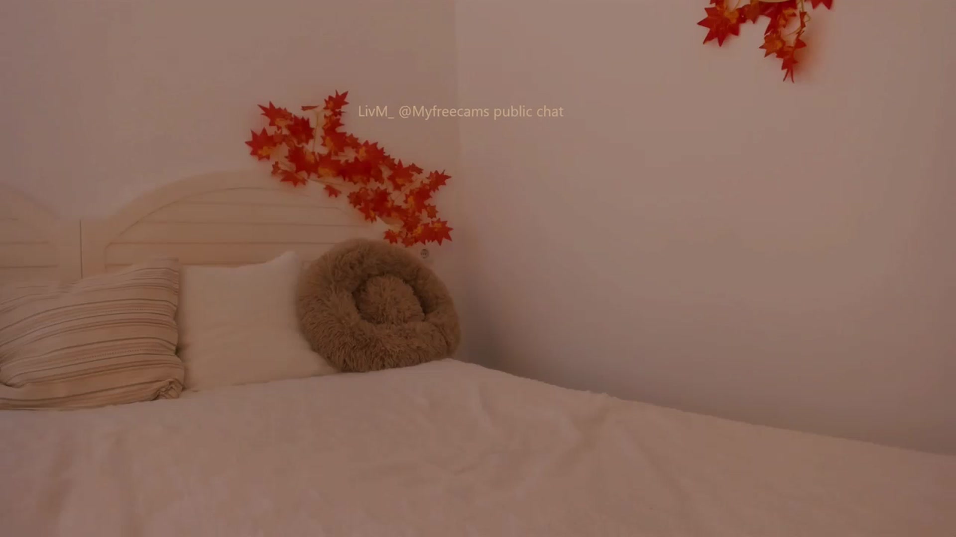 Gallery image thumbnail from LivM_'s myfreecams stream on, 10/12/2025, 10:29 image 17 of 20