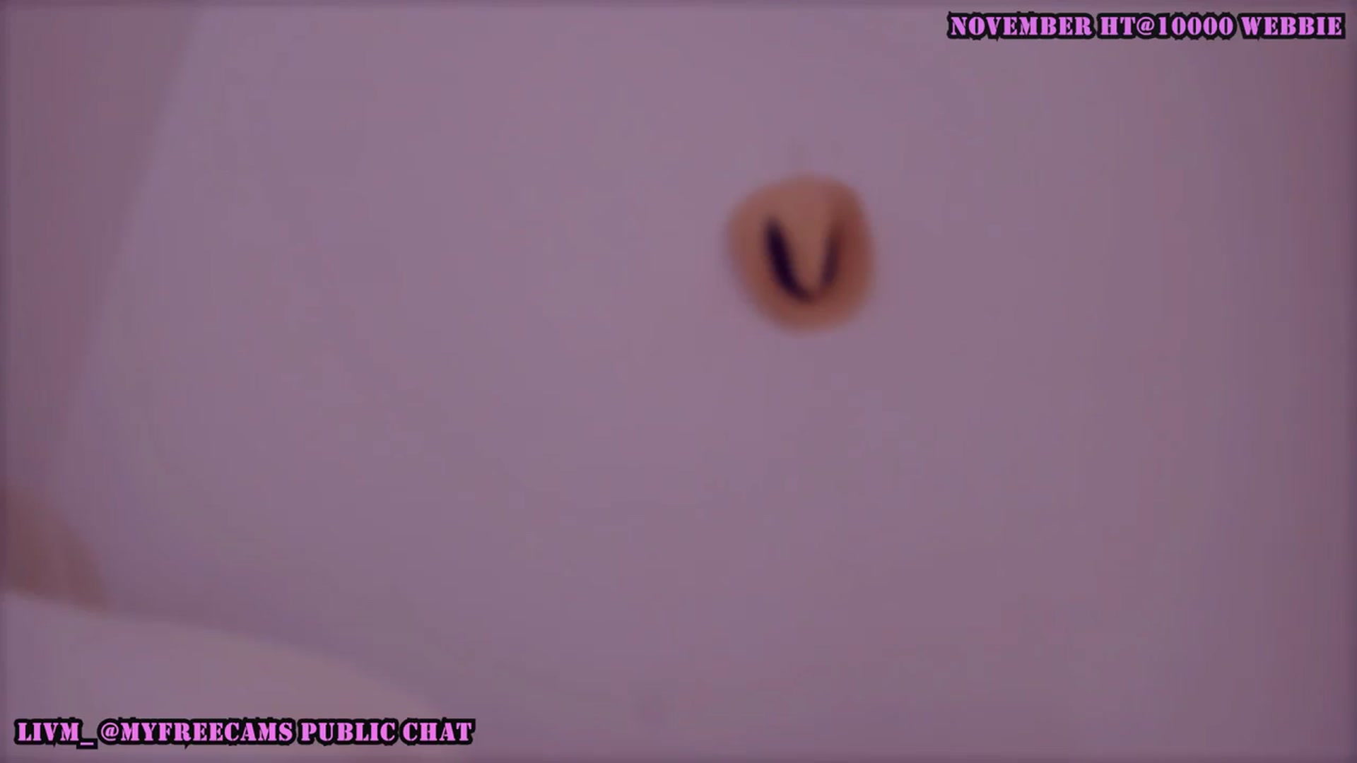 Gallery image thumbnail from LivM_'s myfreecams stream on, 11/08/2025, 10:00 image 17 of 20