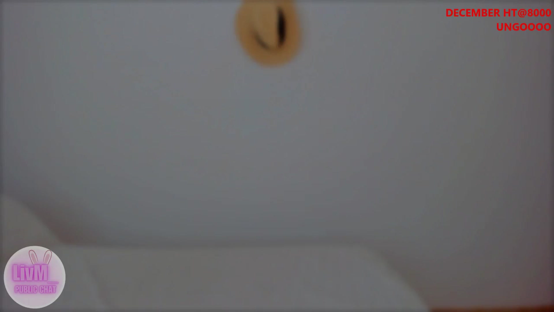 Gallery image thumbnail from LivM_'s myfreecams stream on, 12/10/2025, 09:17 image 20 of 20