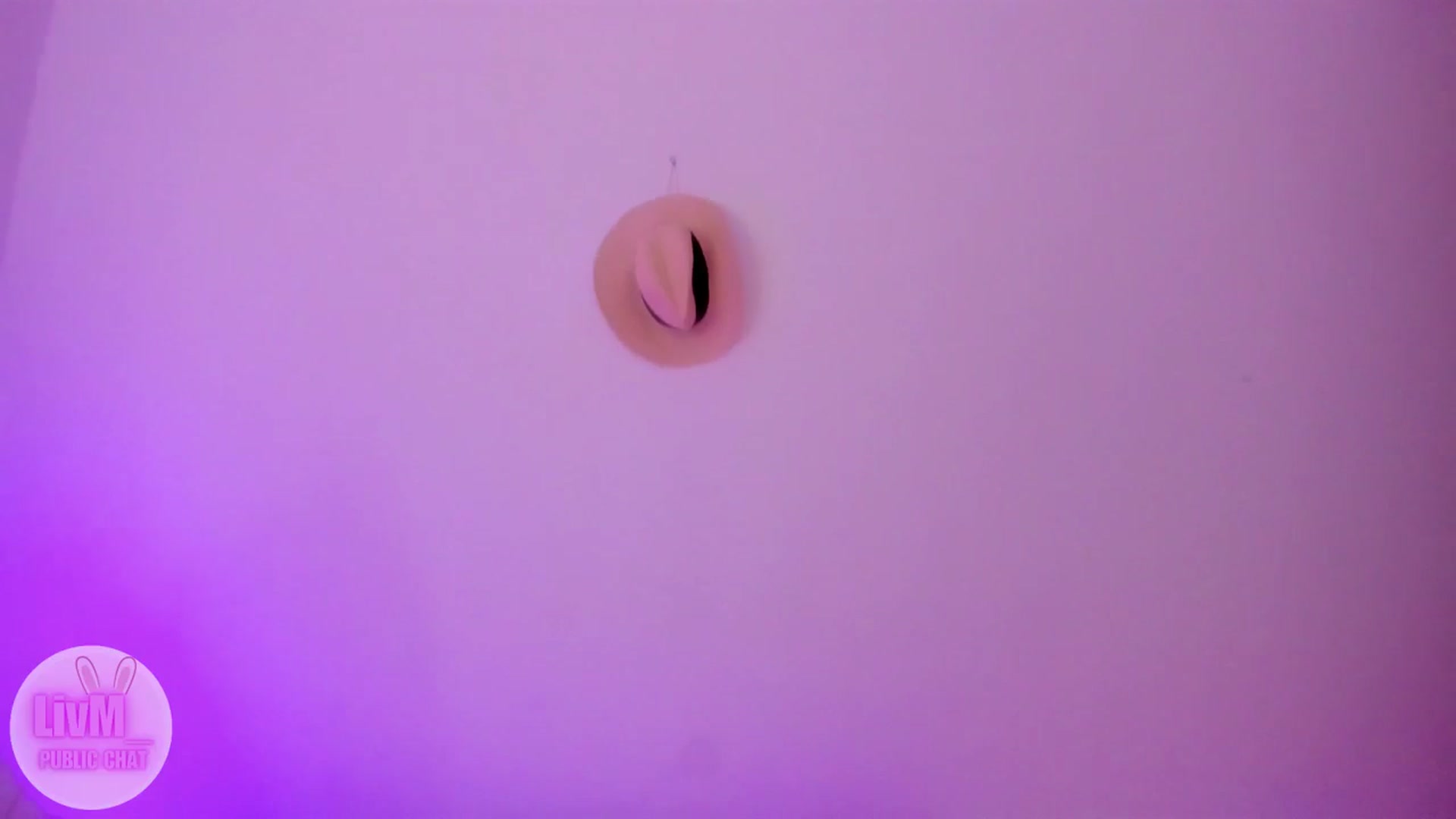 Gallery image thumbnail from LivM_'s myfreecams stream on, 01/29/2026, 08:47 image 16 of 20