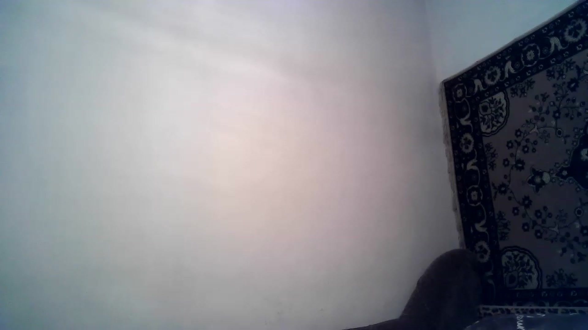 Gallery image thumbnail from LizzaW's myfreecams stream on, 11/18/2022, 19:37 image 10 of 20