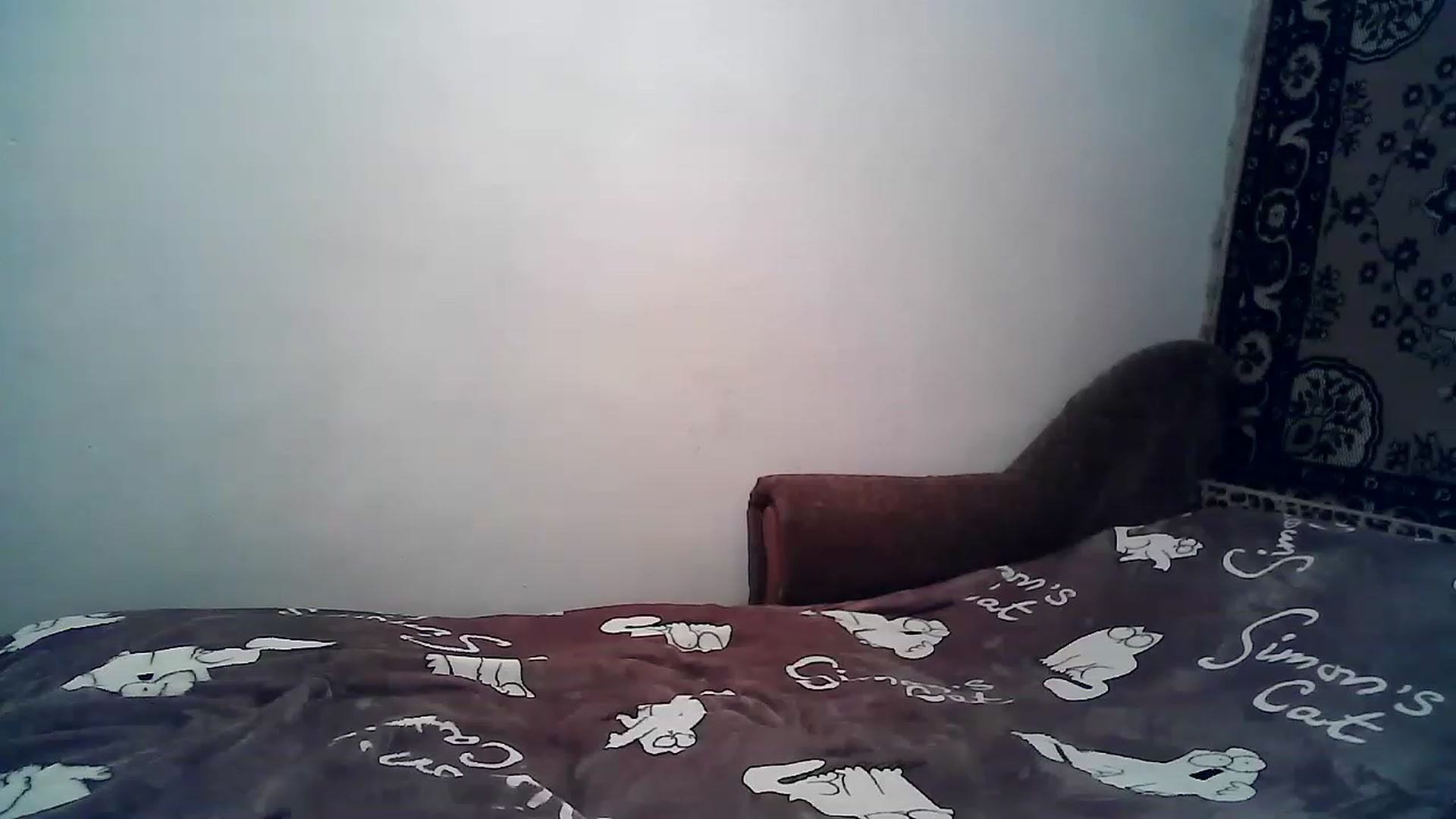 Gallery image thumbnail from LizzaW's myfreecams stream on, 11/18/2022, 19:37 image 1 of 20