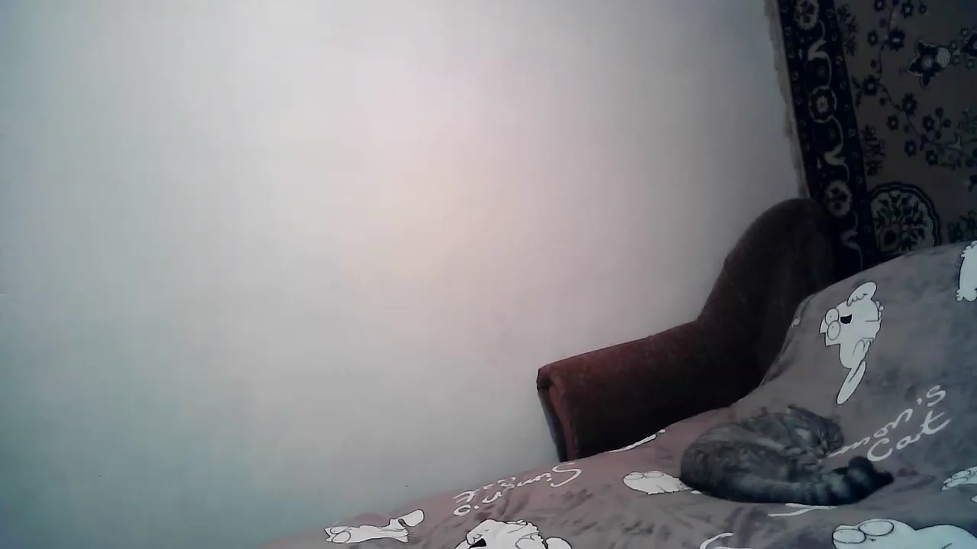 Gallery image thumbnail from LizzaW's myfreecams stream on, 12/04/2022, 19:58 image 12 of 20