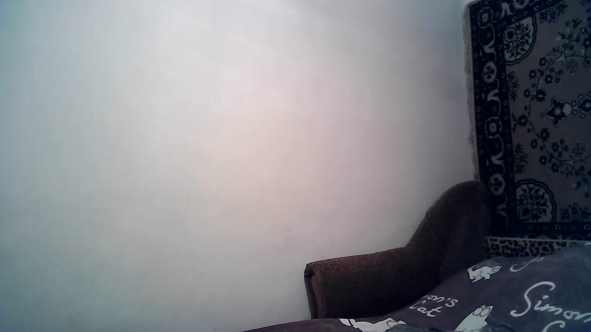 Gallery image thumbnail from LizzaW's myfreecams stream on, 12/11/2022, 18:30 image 20 of 20