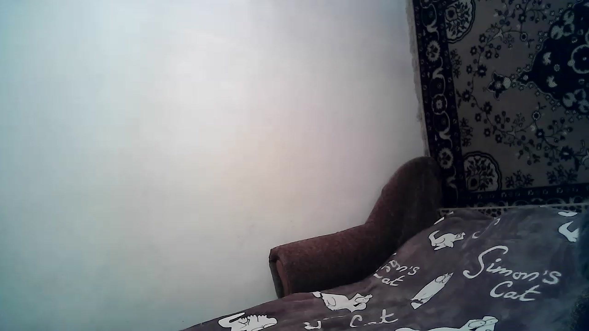 Gallery image thumbnail from LizzaW's myfreecams stream on, 12/23/2022, 18:06 image 16 of 20