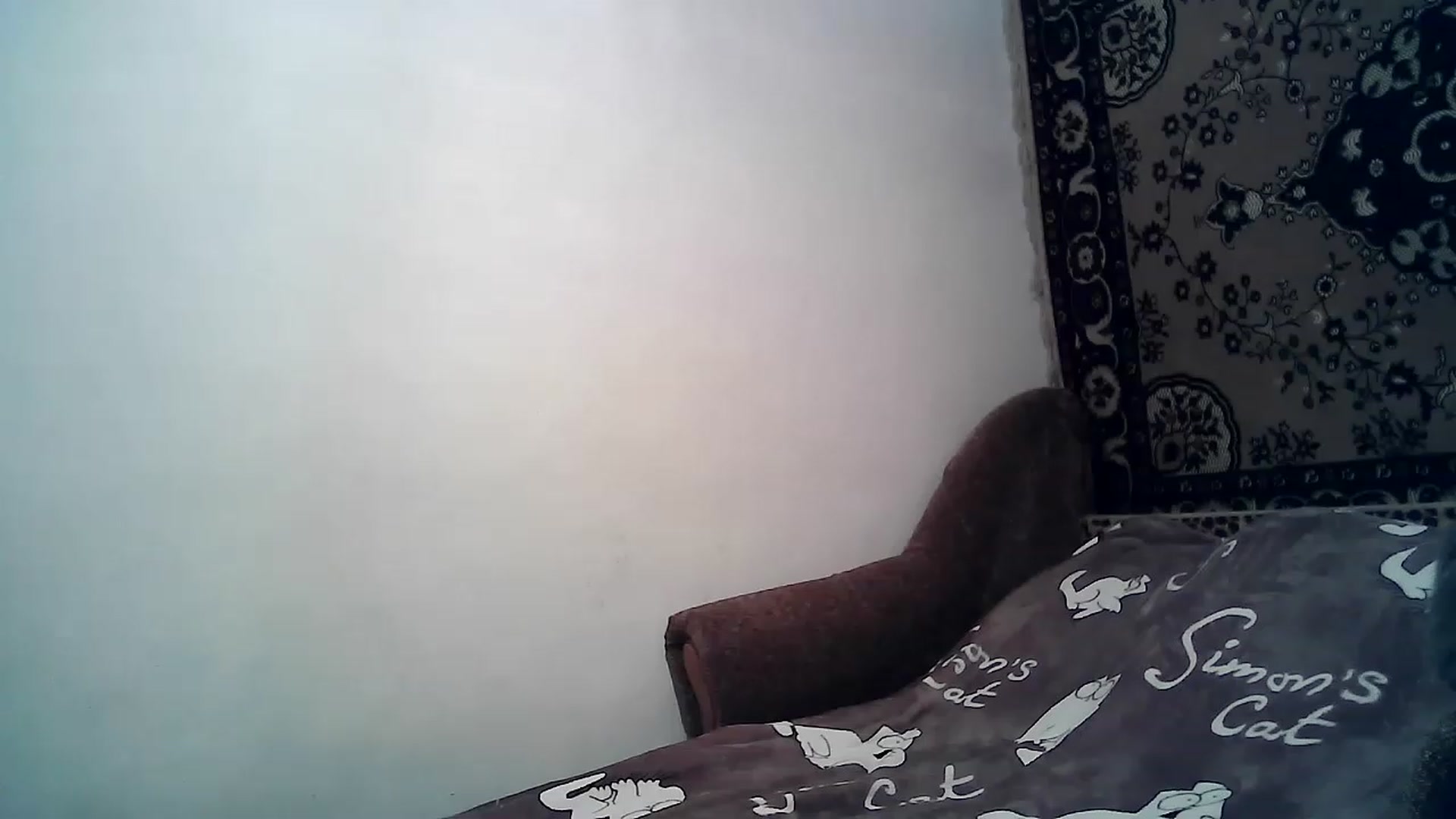 Gallery image thumbnail from LizzaW's myfreecams stream on, 12/23/2022, 18:06 image 17 of 20
