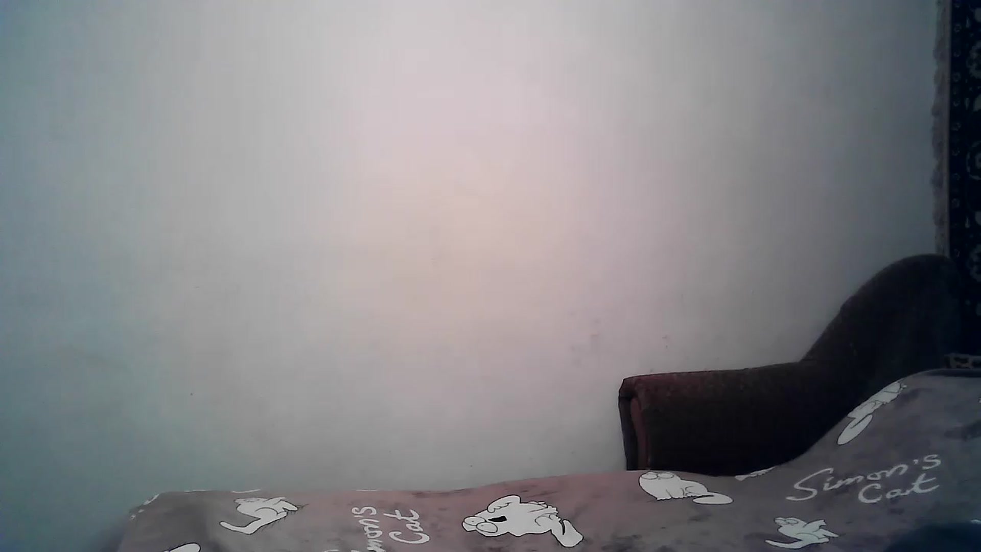 Gallery image thumbnail from LizzaW's myfreecams stream on, 03/13/2023, 19:11 image 19 of 20