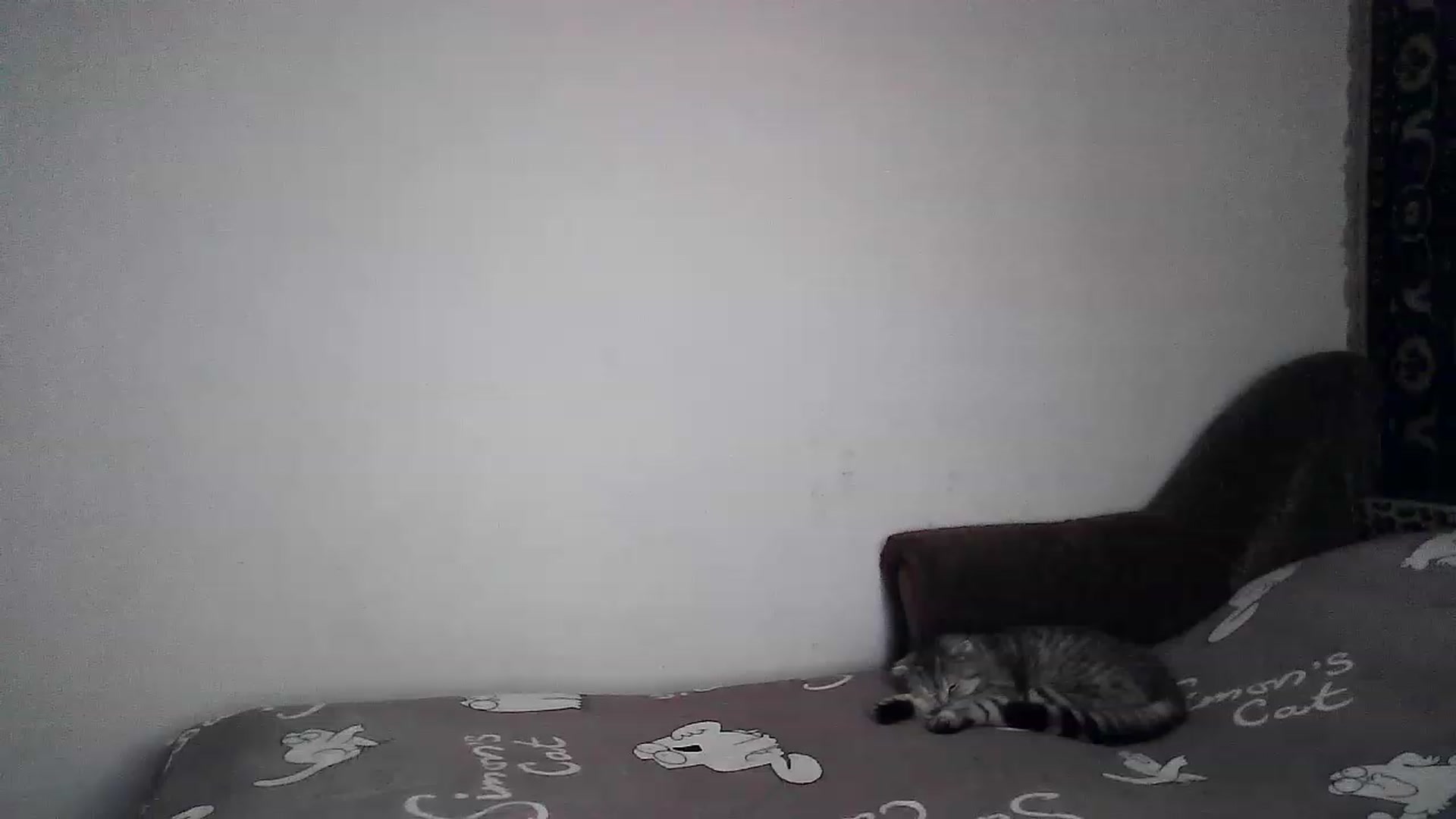 Gallery image thumbnail from LizzaW's myfreecams stream on, 04/29/2023, 17:46 image 7 of 20