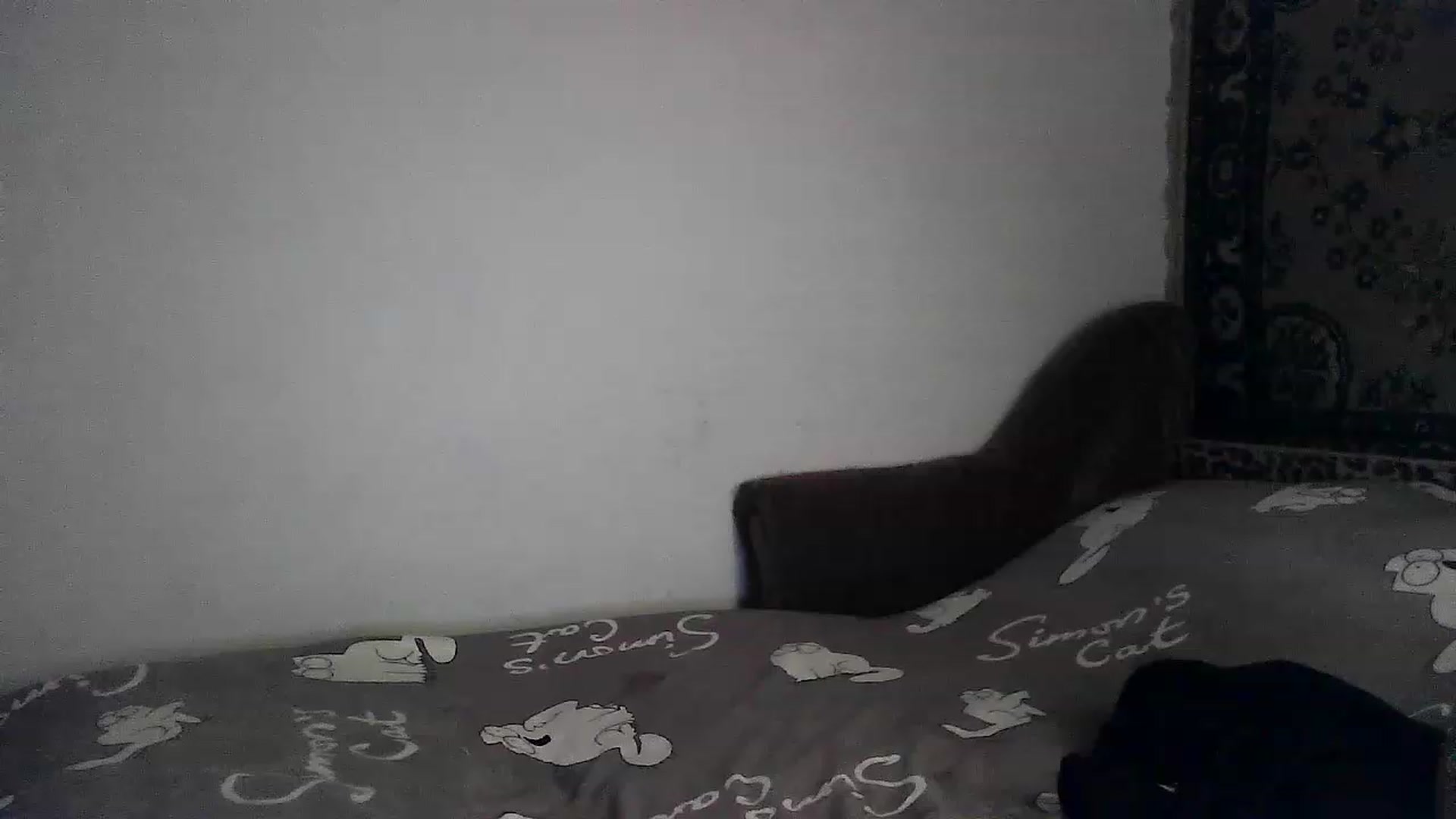 Gallery image thumbnail from LizzaW's myfreecams stream on, 06/17/2023, 19:05 image 10 of 20