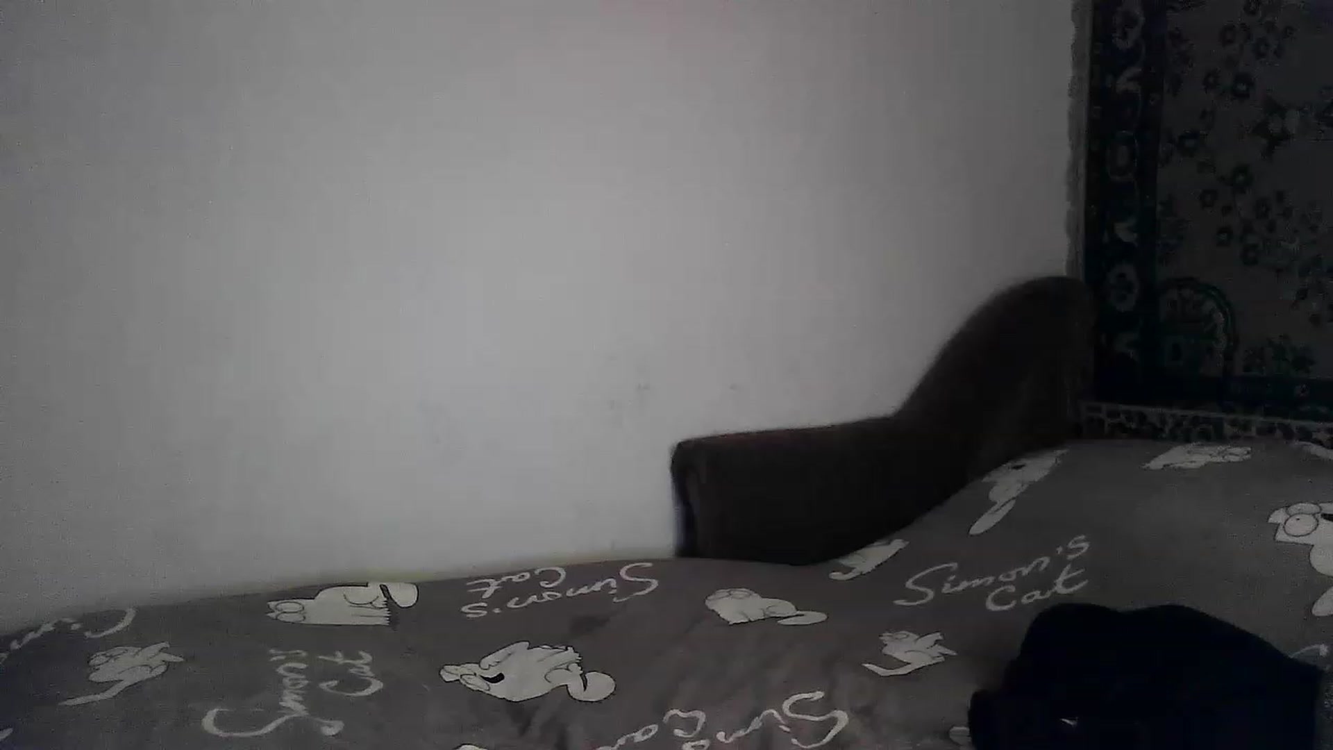 Gallery image thumbnail from LizzaW's myfreecams stream on, 06/17/2023, 19:05 image 9 of 20