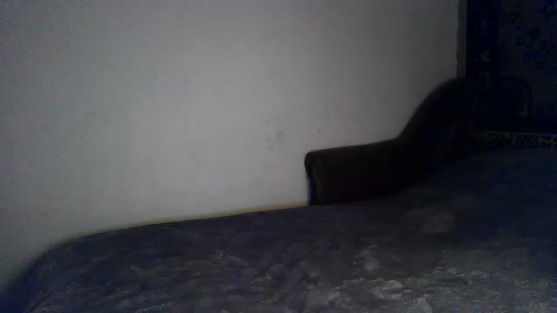 Gallery image thumbnail from LizzaW's myfreecams stream on, 08/04/2023, 20:18 image 14 of 20