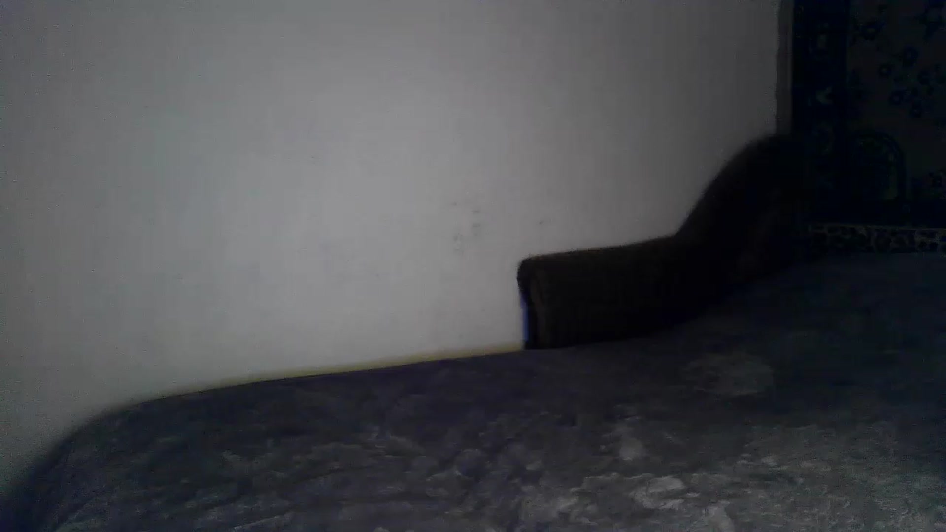 Gallery image thumbnail from LizzaW's myfreecams stream on, 08/04/2023, 20:18 image 15 of 20
