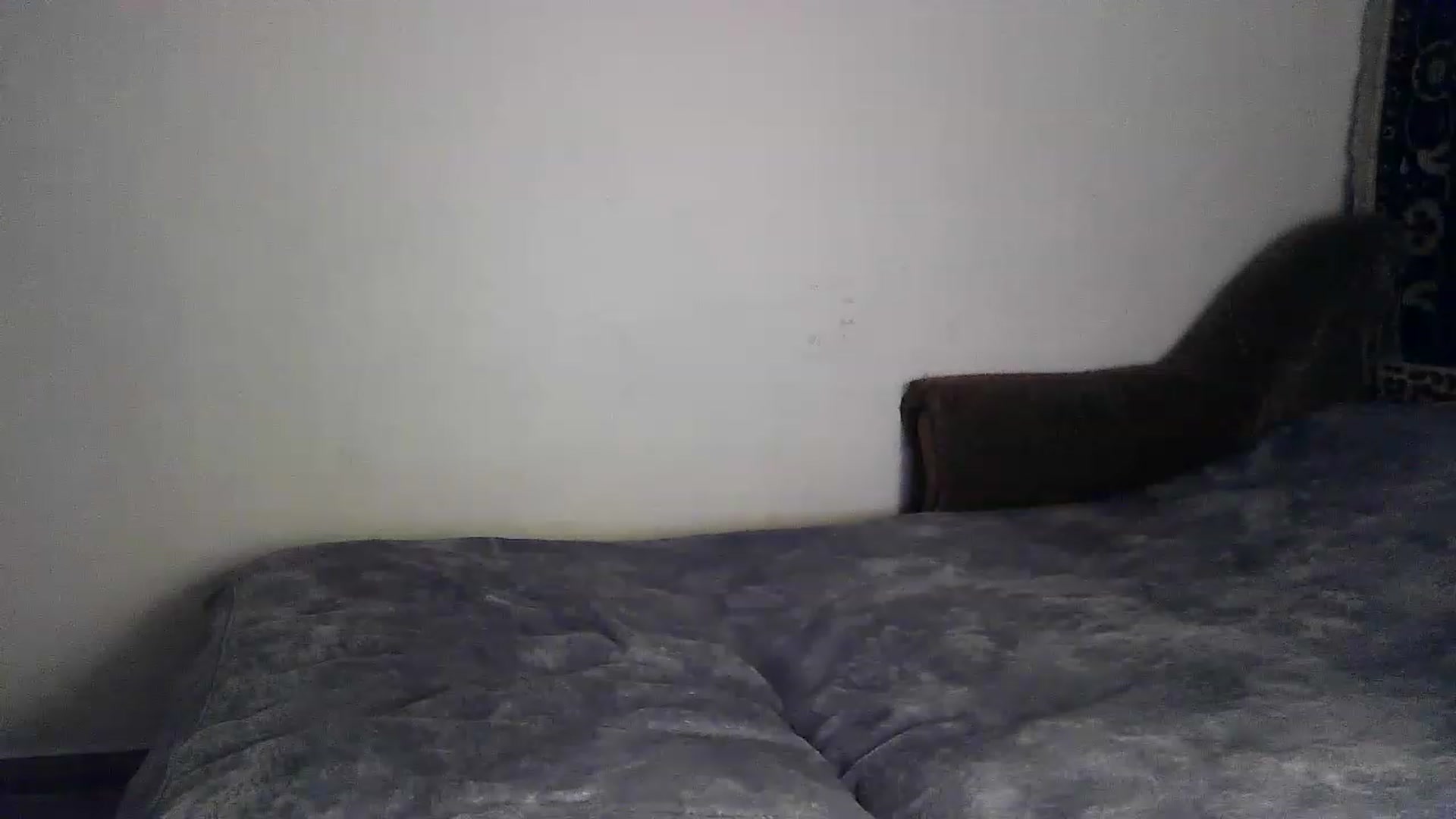 Gallery image thumbnail from LizzaW's myfreecams stream on, 08/15/2023, 17:58 image 14 of 20