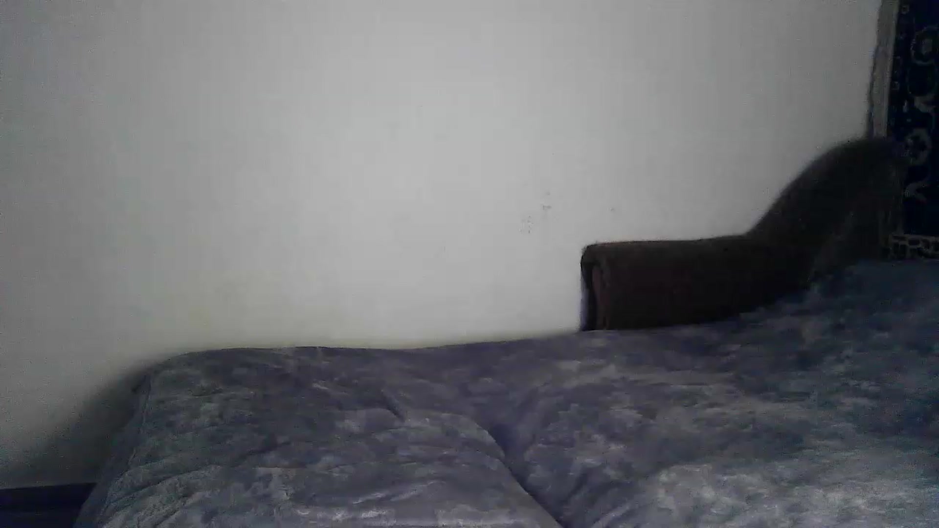 Gallery image thumbnail from LizzaW's myfreecams stream on, 08/15/2023, 17:58 image 8 of 20