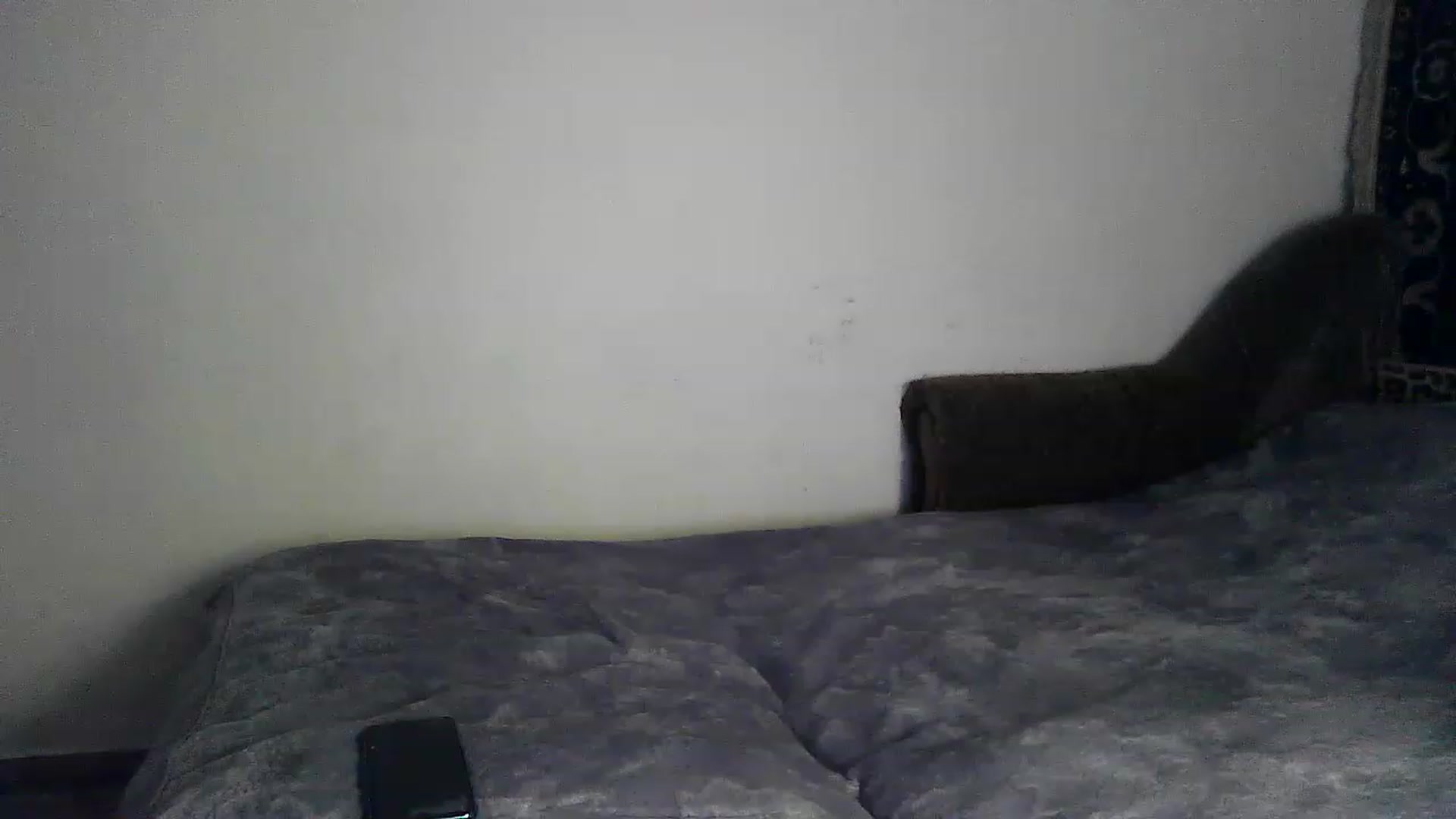 Gallery image thumbnail from LizzaW's myfreecams stream on, 08/15/2023, 17:58 image 10 of 20