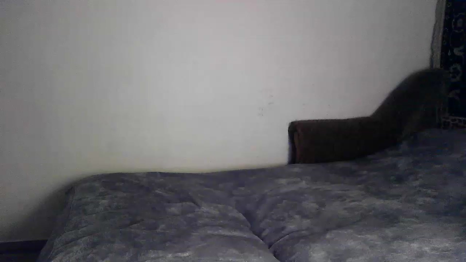 Gallery image thumbnail from LizzaW's myfreecams stream on, 08/15/2023, 17:58 image 13 of 20