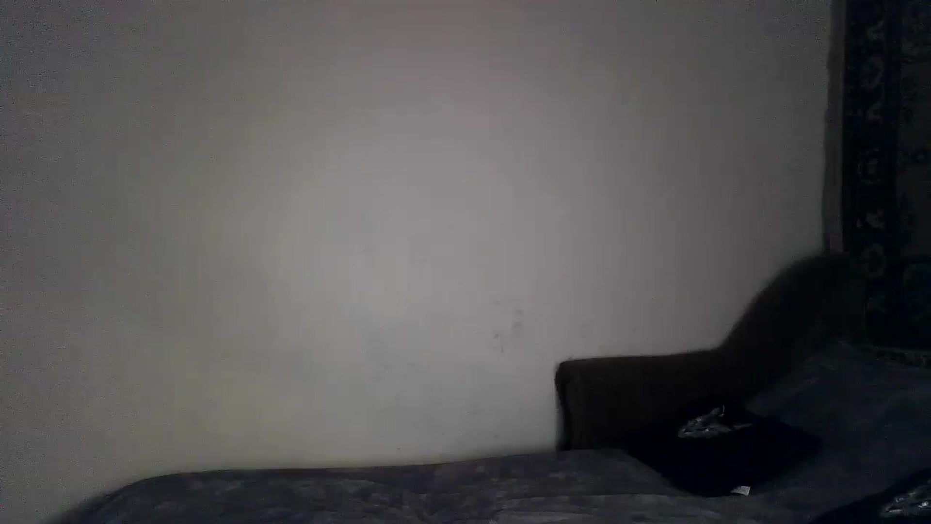 Gallery image thumbnail from LizzaW's myfreecams stream on, 08/19/2023, 17:29 image 6 of 20