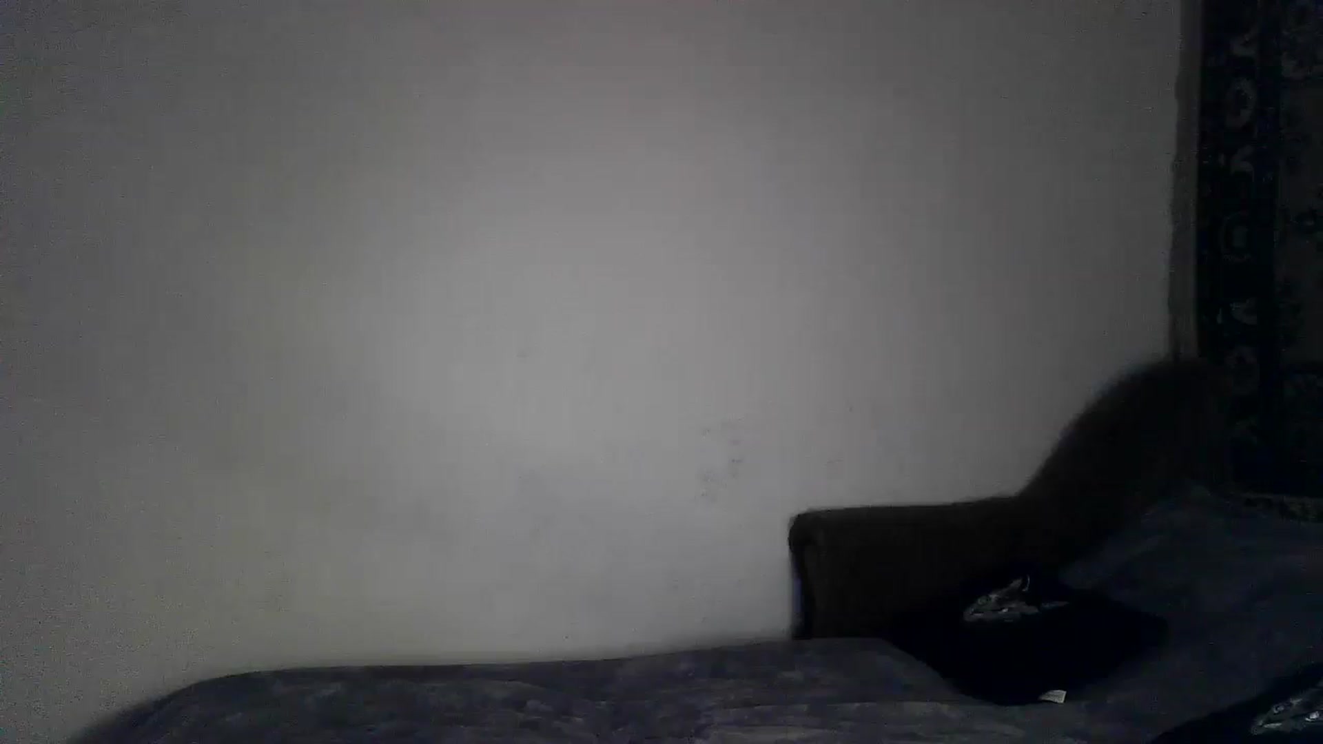 Gallery image thumbnail from LizzaW's myfreecams stream on, 08/19/2023, 17:29 image 8 of 20