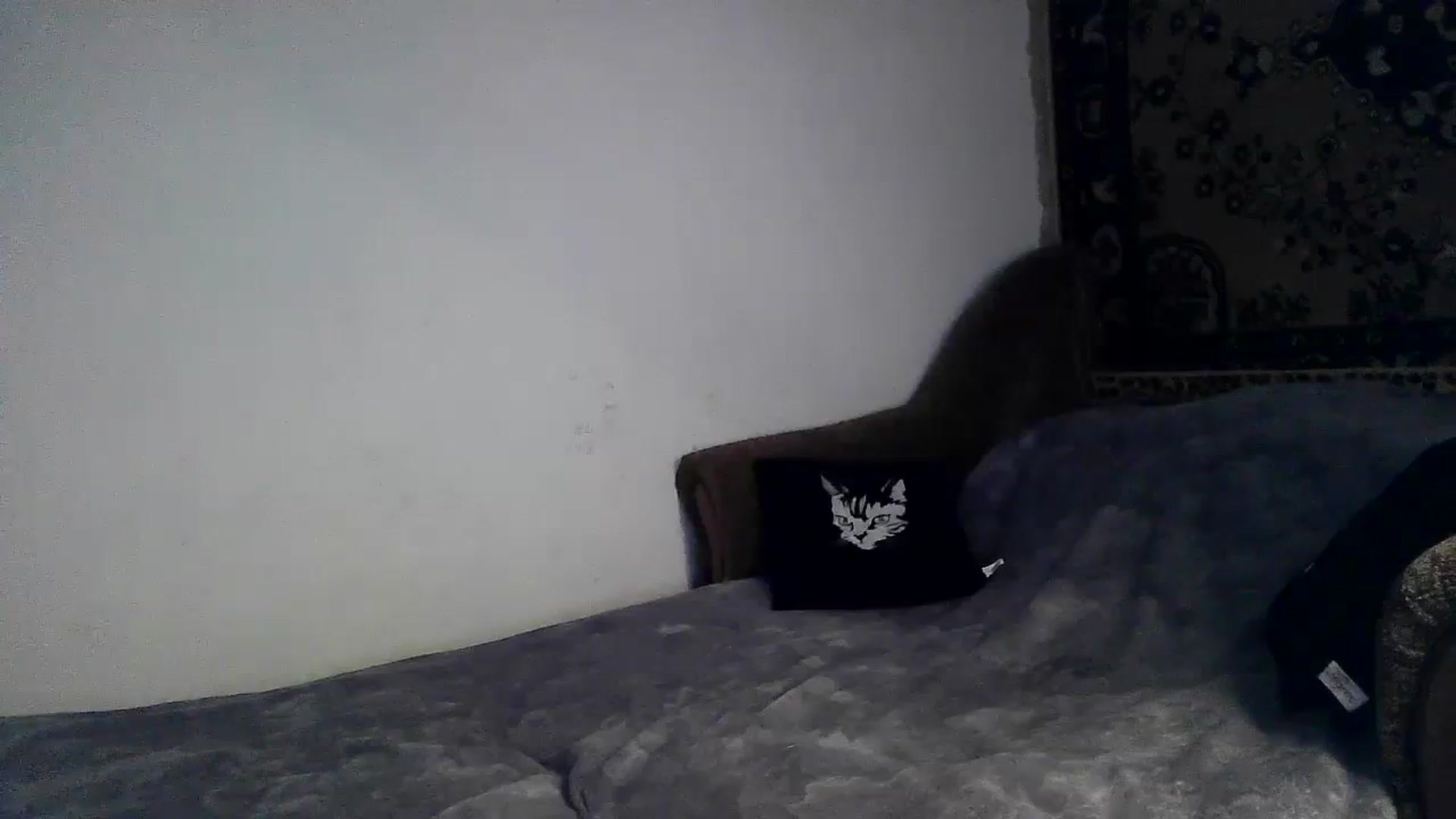 Gallery image thumbnail from LizzaW's myfreecams stream on, 08/27/2023, 16:54 image 14 of 20