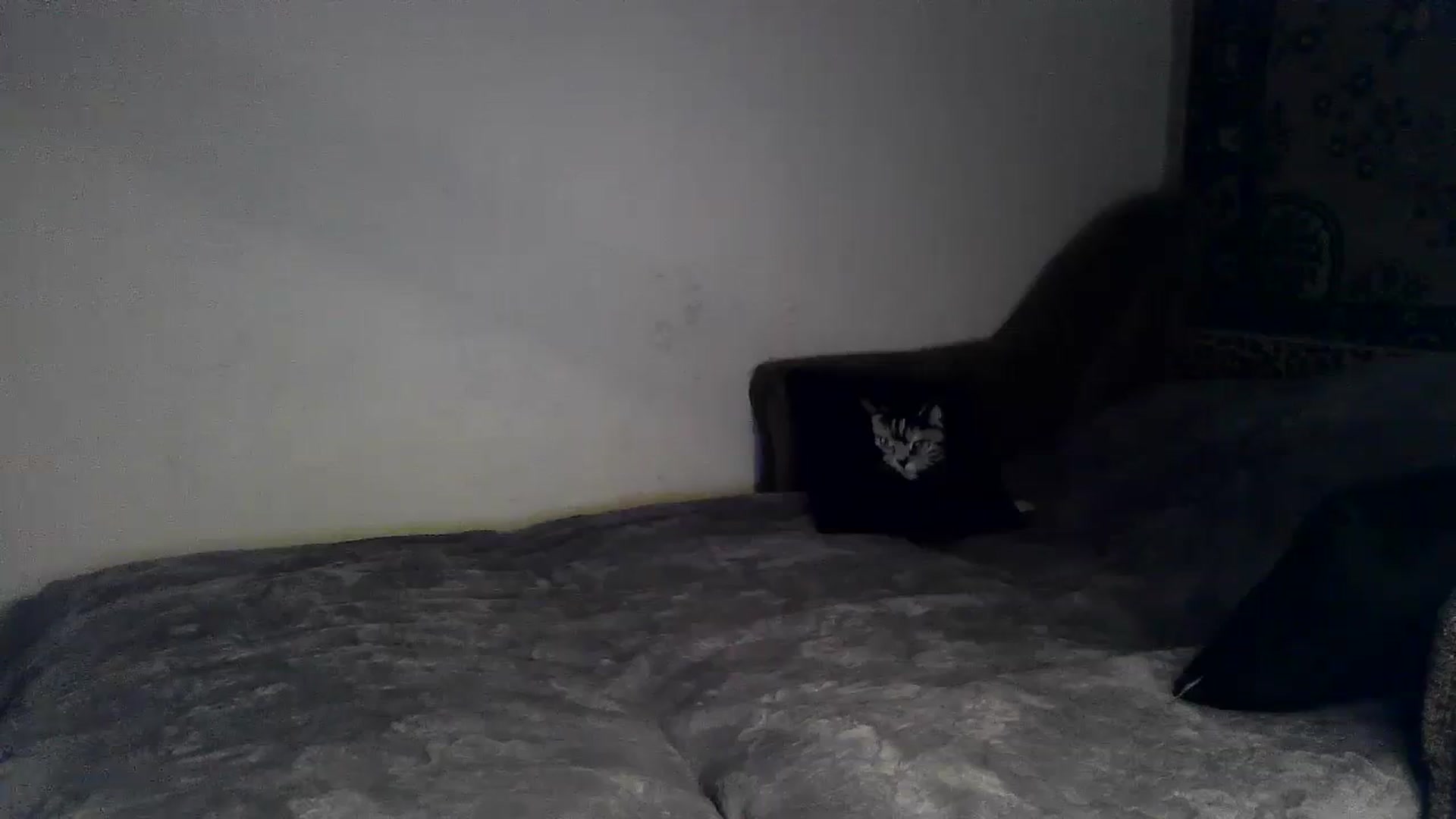 Gallery image thumbnail from LizzaW's myfreecams stream on, 08/30/2023, 18:57 image 8 of 20