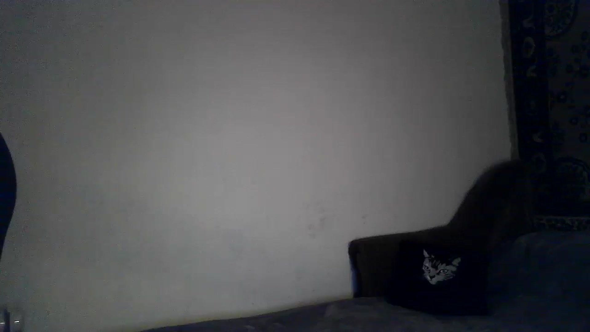 Gallery image thumbnail from LizzaW's myfreecams stream on, 09/09/2023, 17:39 image 12 of 20