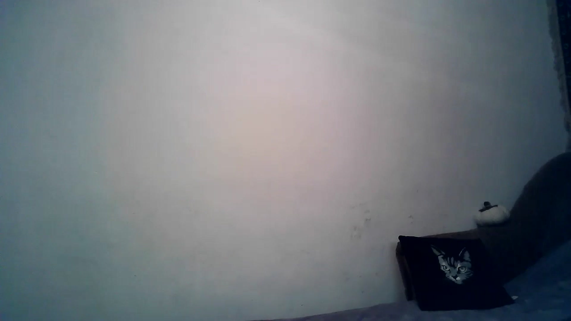 Gallery image thumbnail from LizzaW's myfreecams stream on, 01/19/2024, 14:59 image 15 of 20