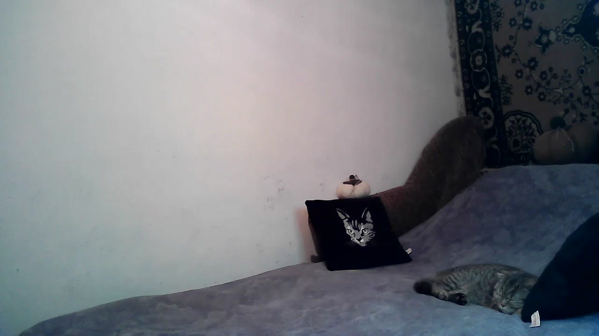 Gallery image thumbnail from LizzaW's myfreecams stream on, 02/17/2024, 17:47 image 18 of 20